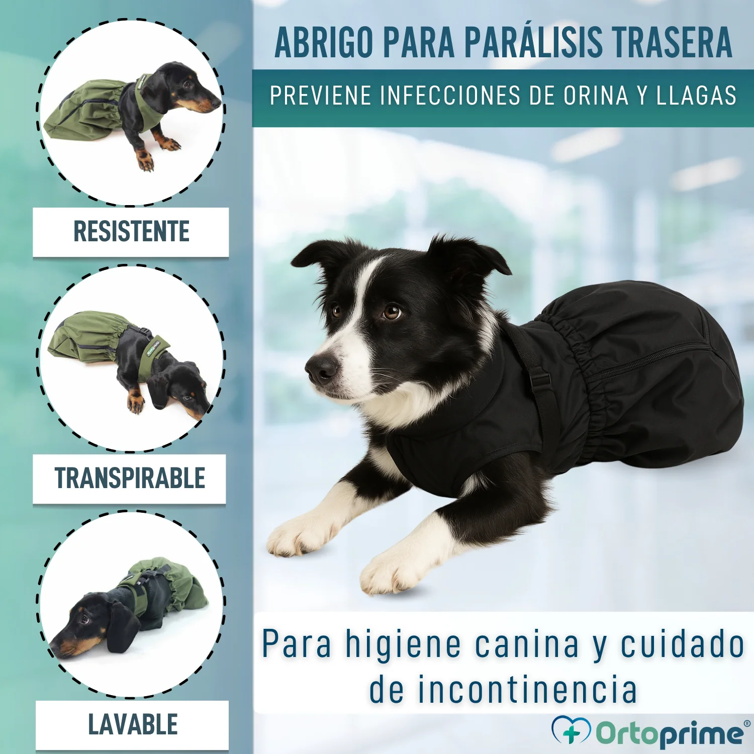 Imagen del producto 3