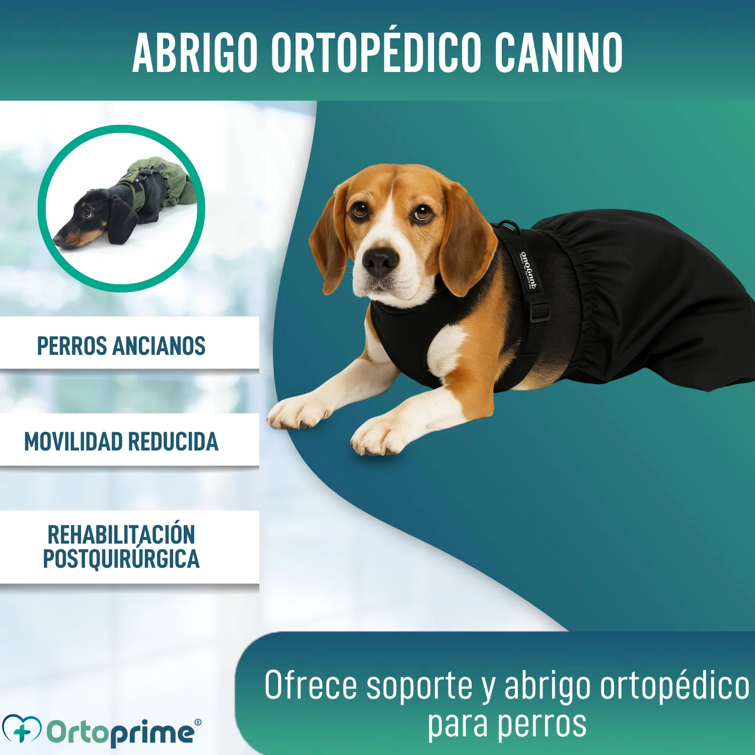 Imagen del producto 6