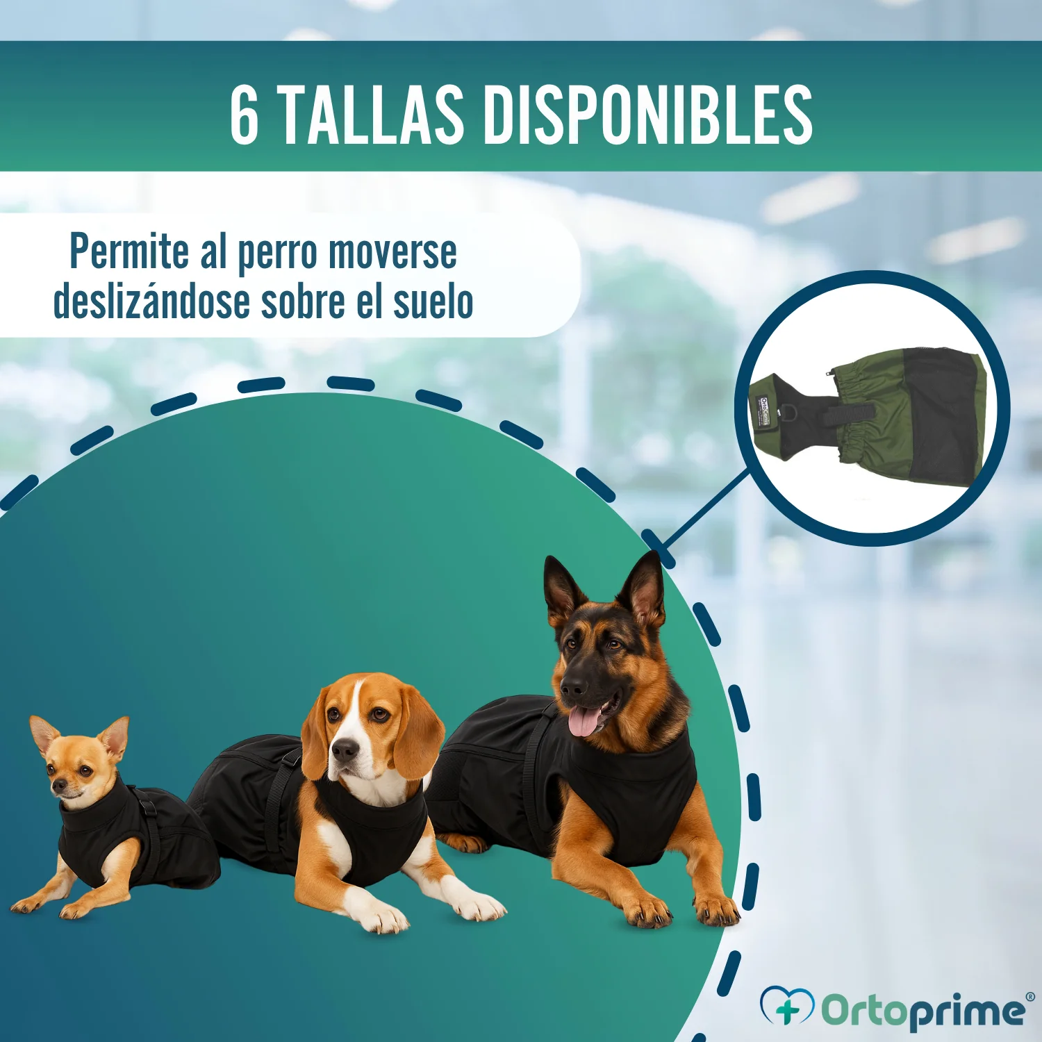 Imagen del producto 8