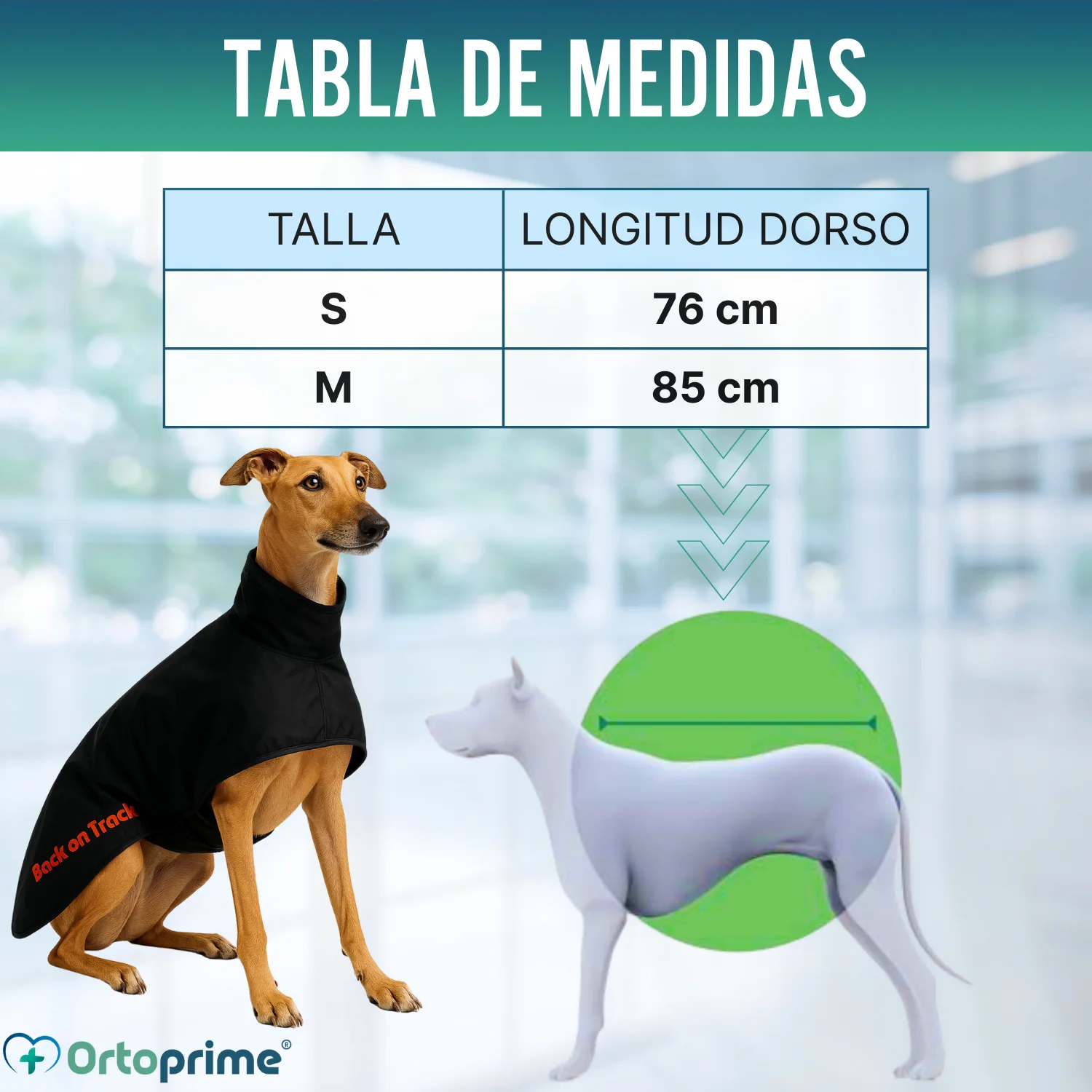 Imagen del producto 2
