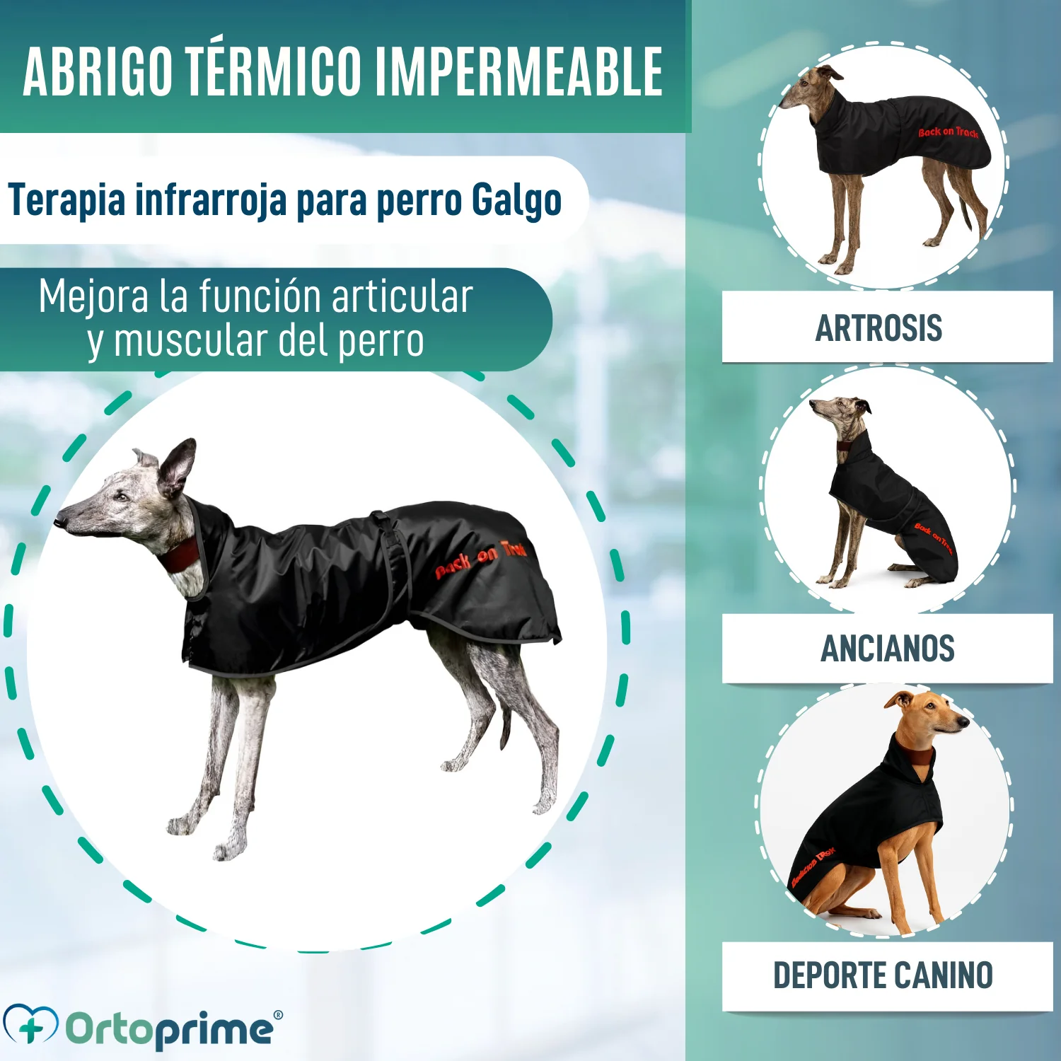 Imagen del producto 3