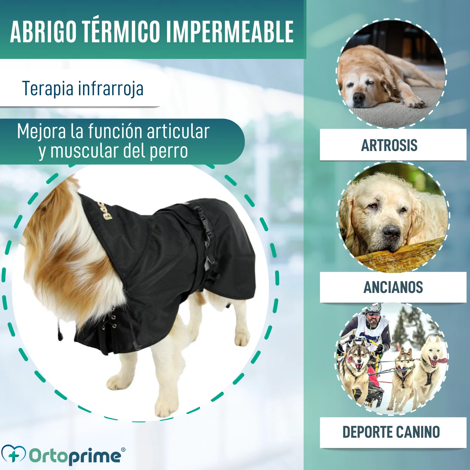 Imagen del producto 4