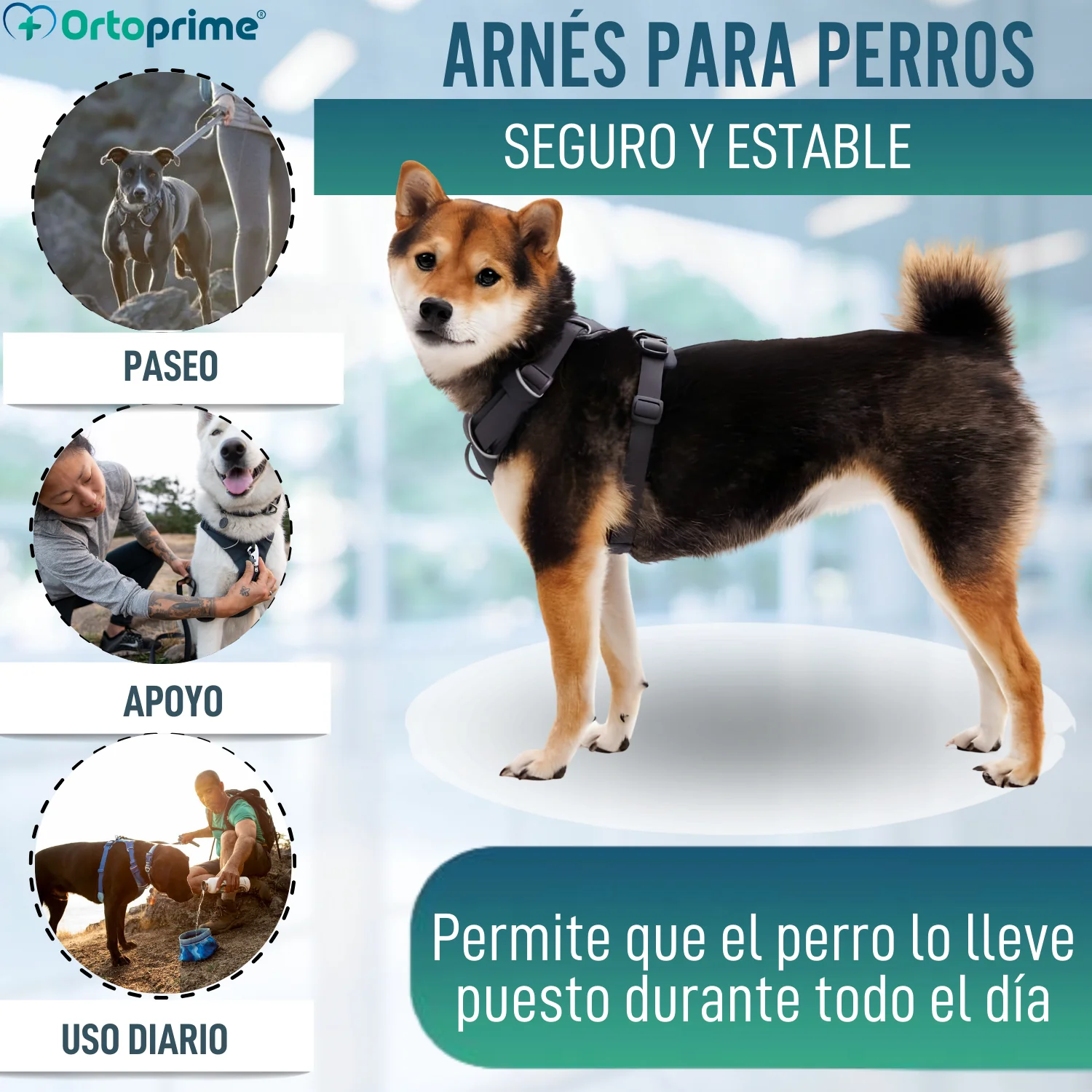 Imagen del producto 6
