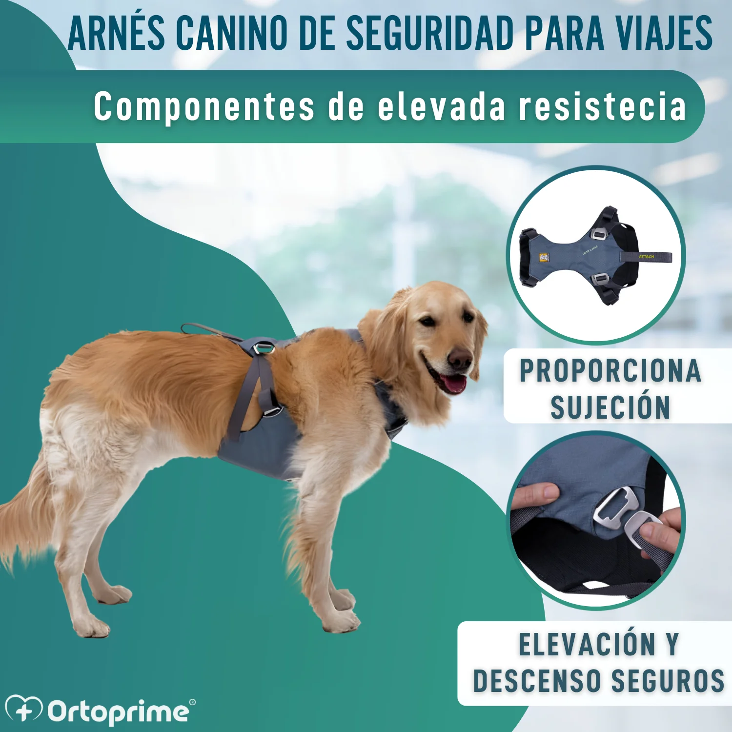 Imagen del producto 6