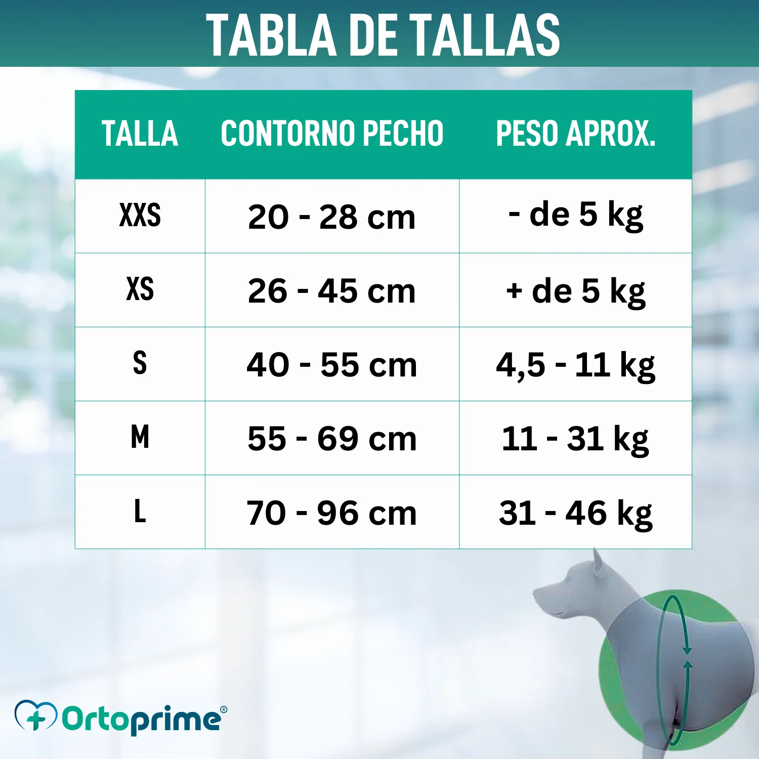 Imagen del producto 2
