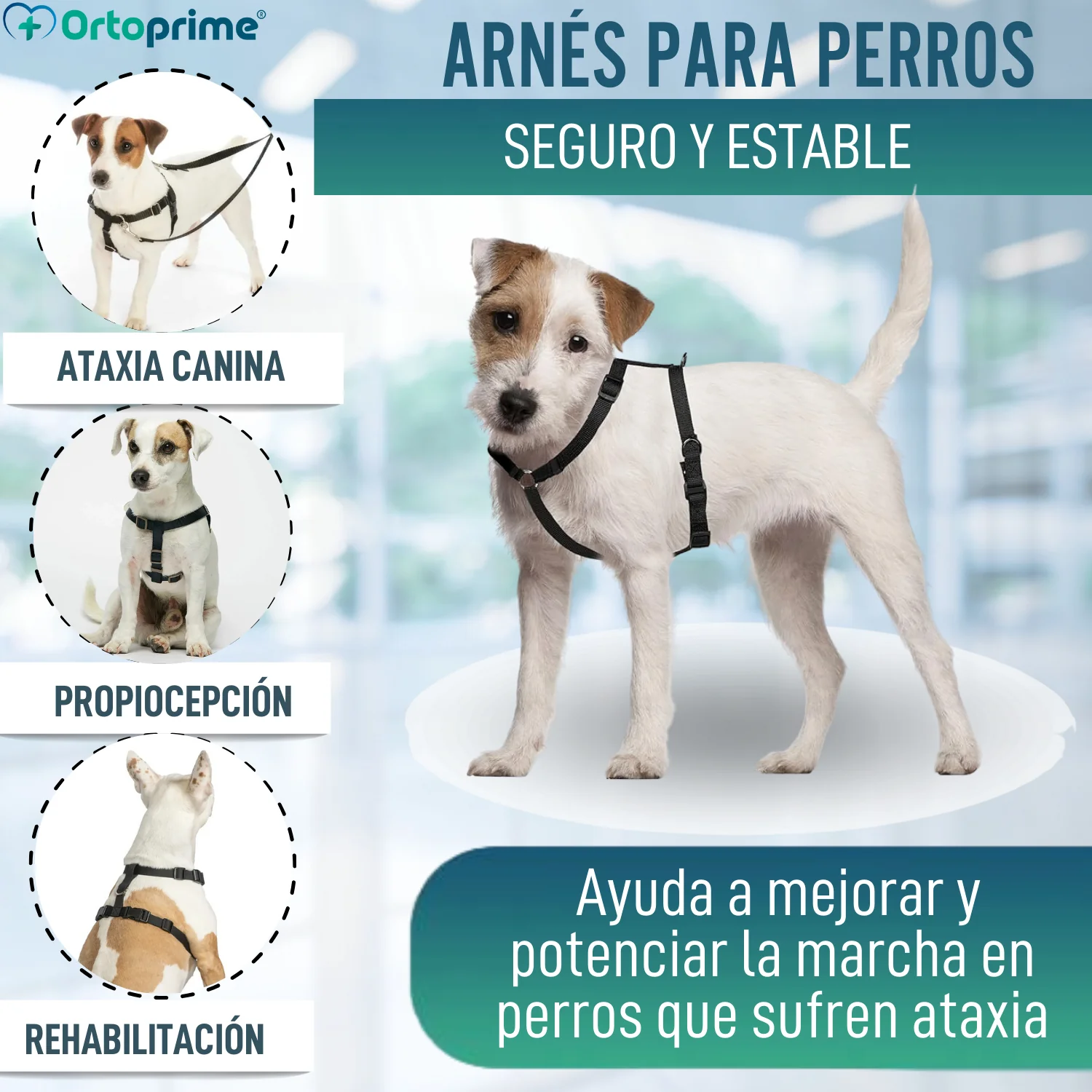 Imagen del producto 3