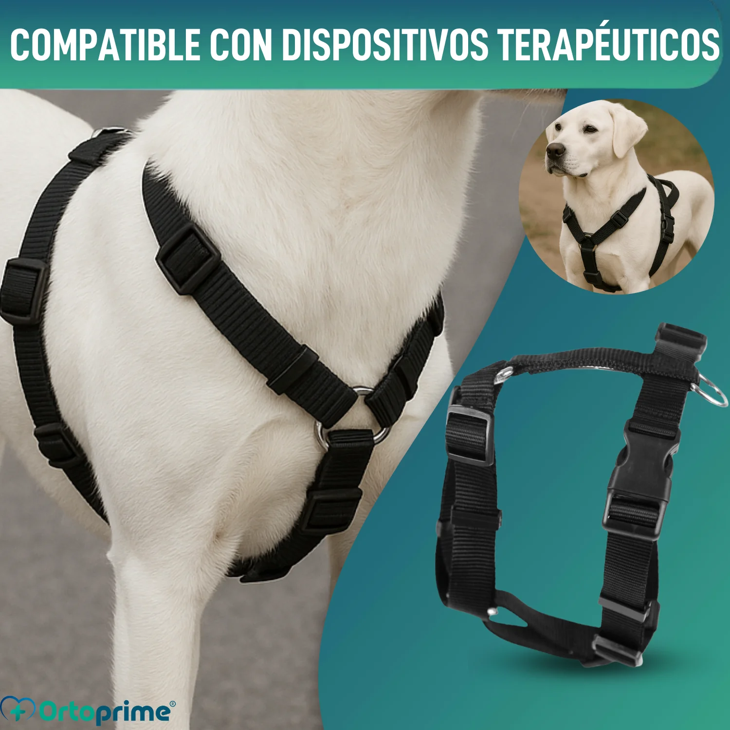 Imagen del producto 4