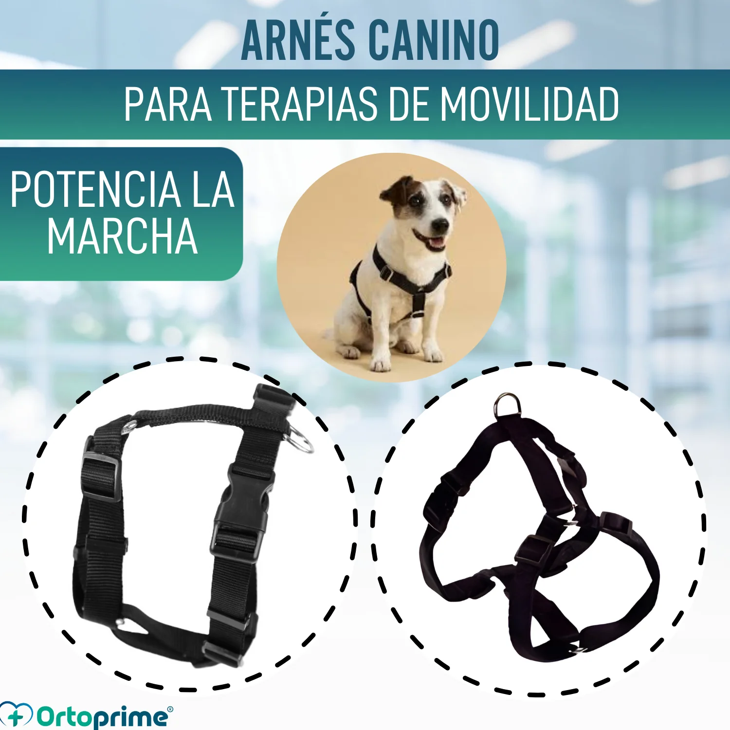 Imagen del producto 5