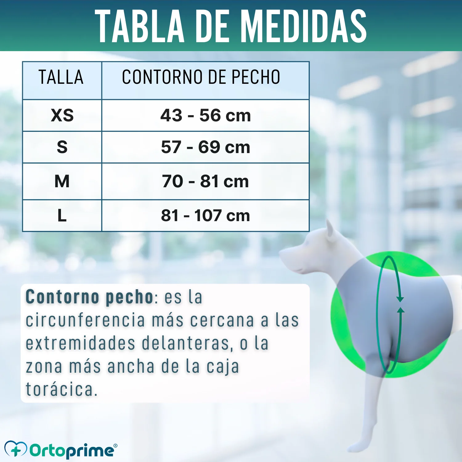 Imagen del producto 2