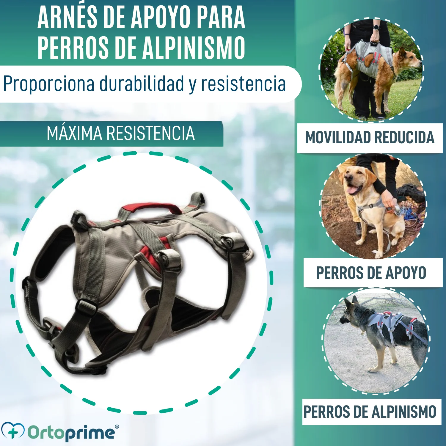 Imagen del producto 3