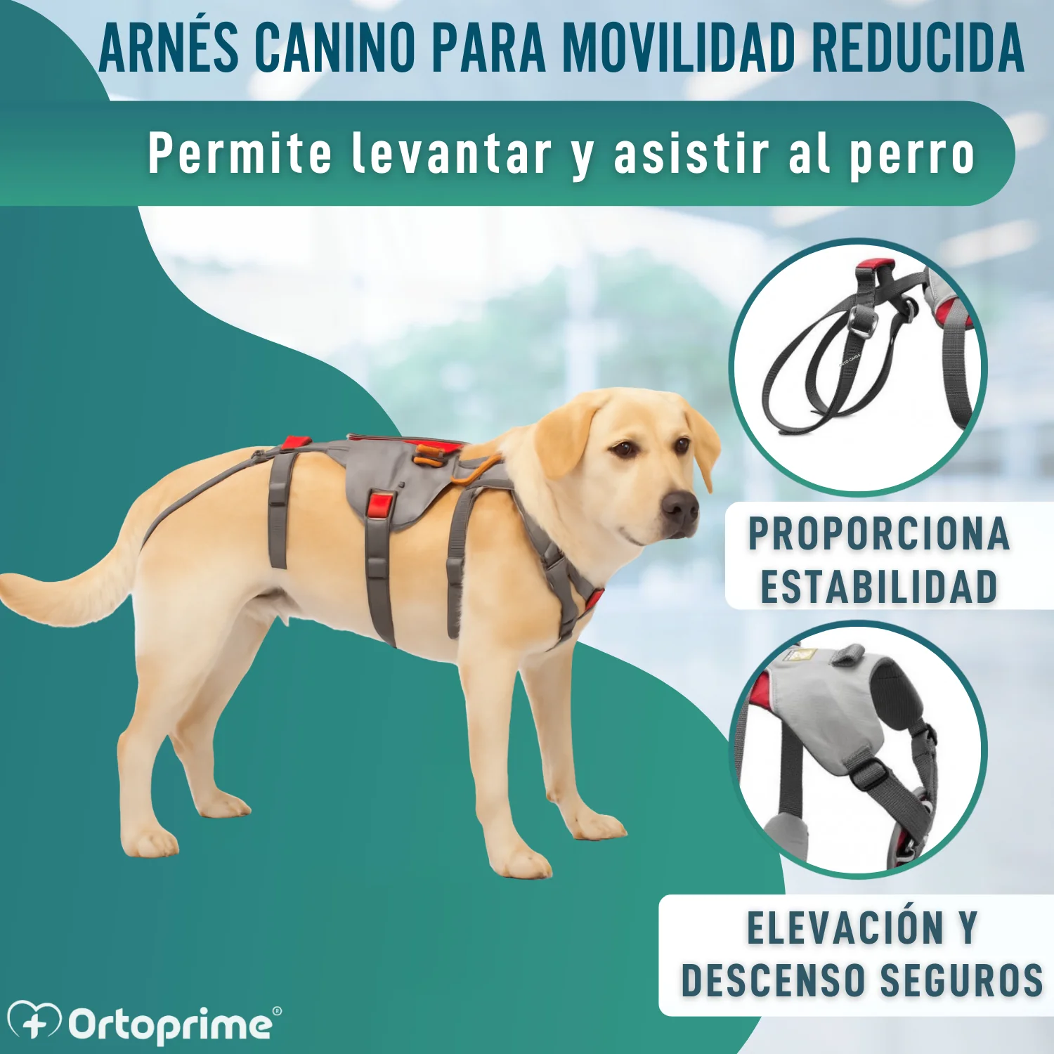Imagen del producto 4