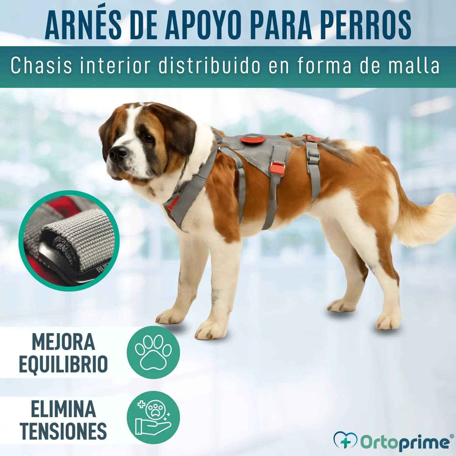Imagen del producto 6