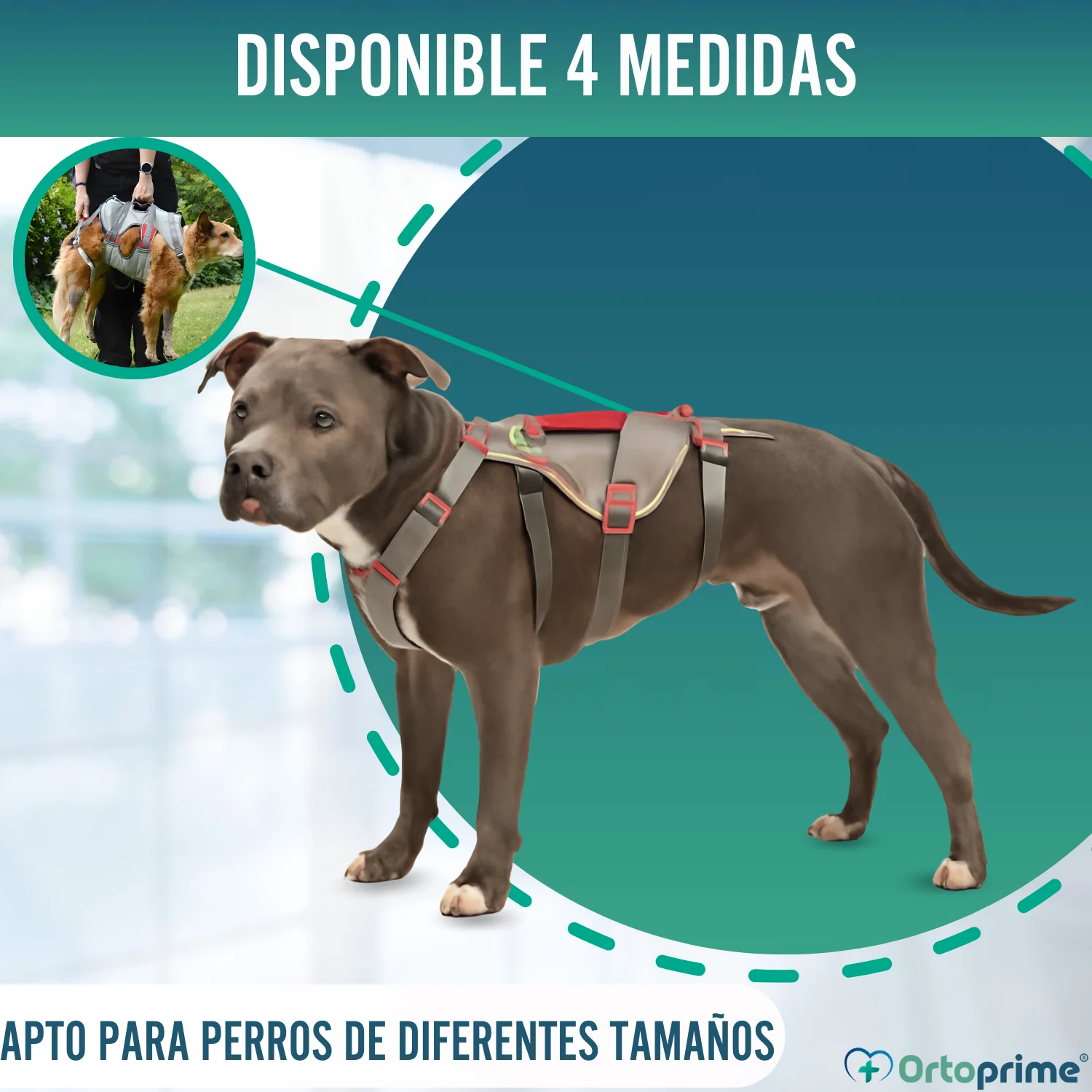 Imagen del producto 7