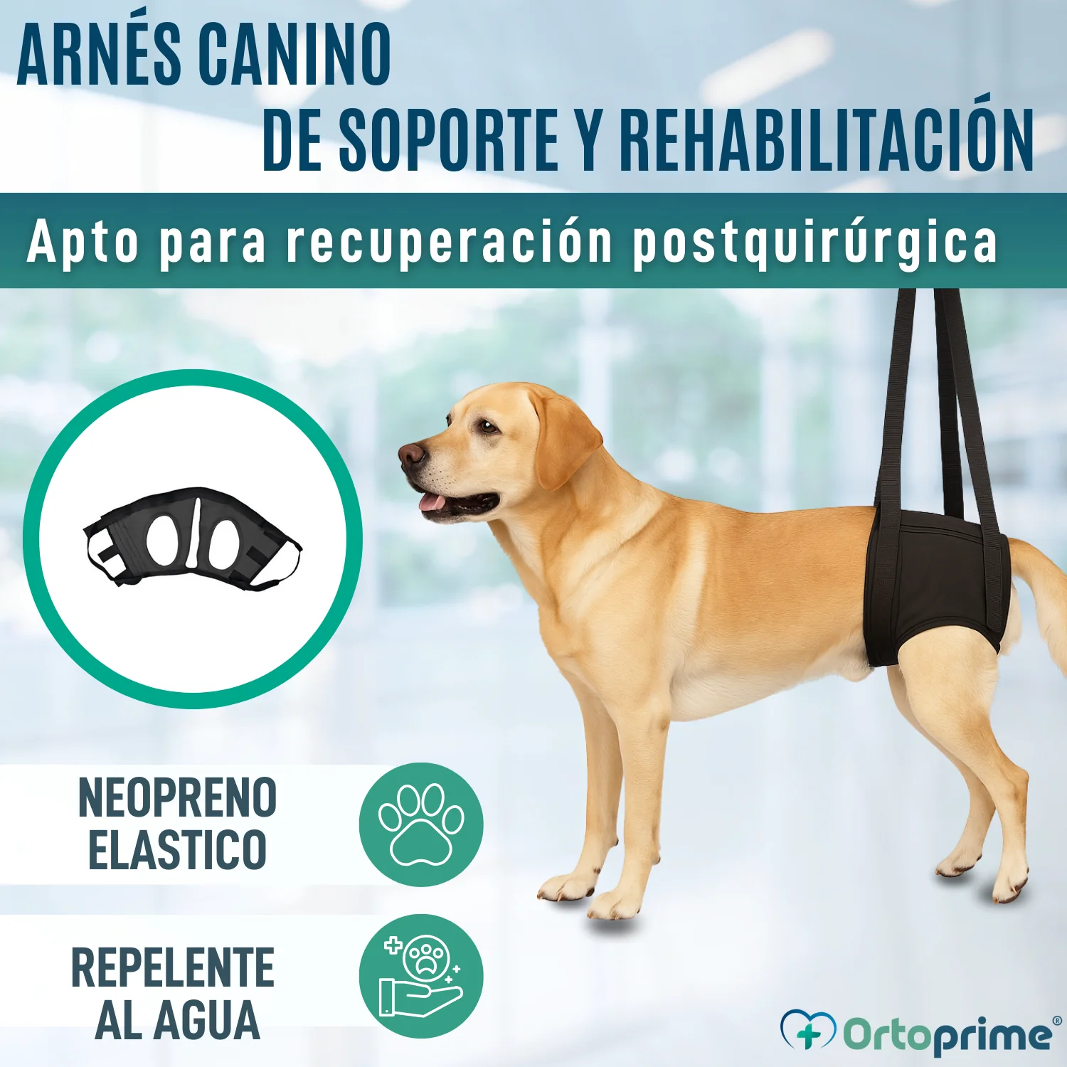 Imagen del producto 3