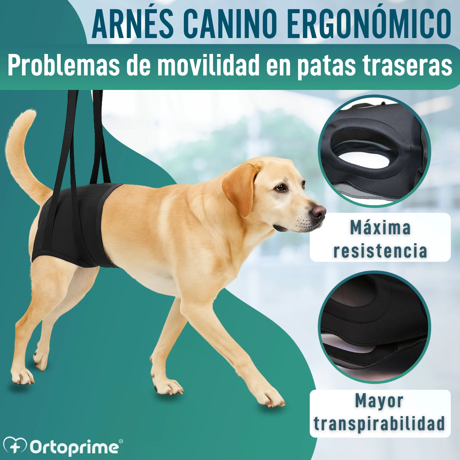 Imagen del producto 5