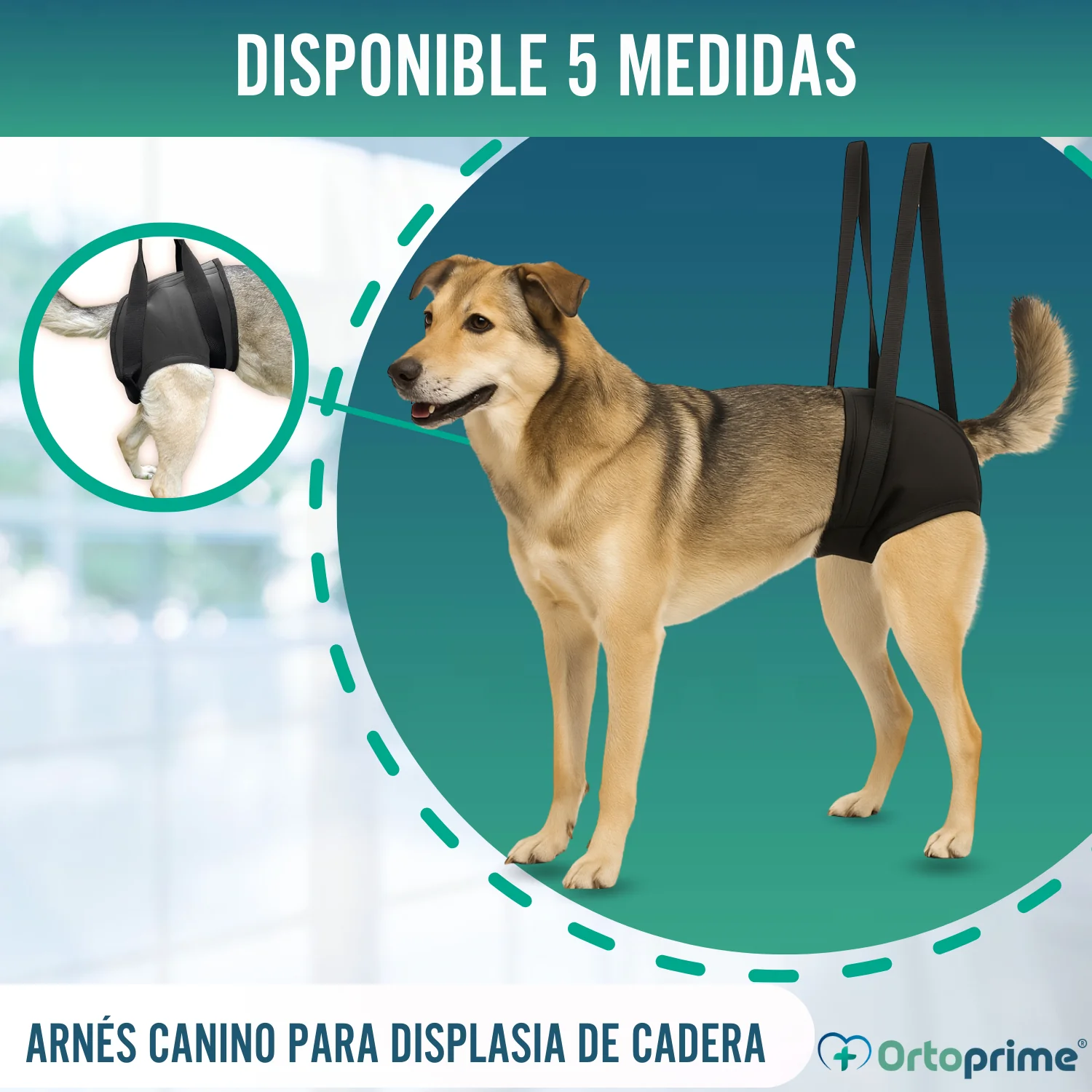 Imagen del producto 6