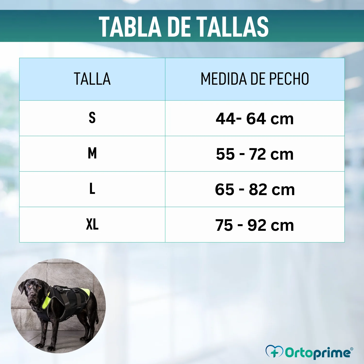 Imagen del producto 2