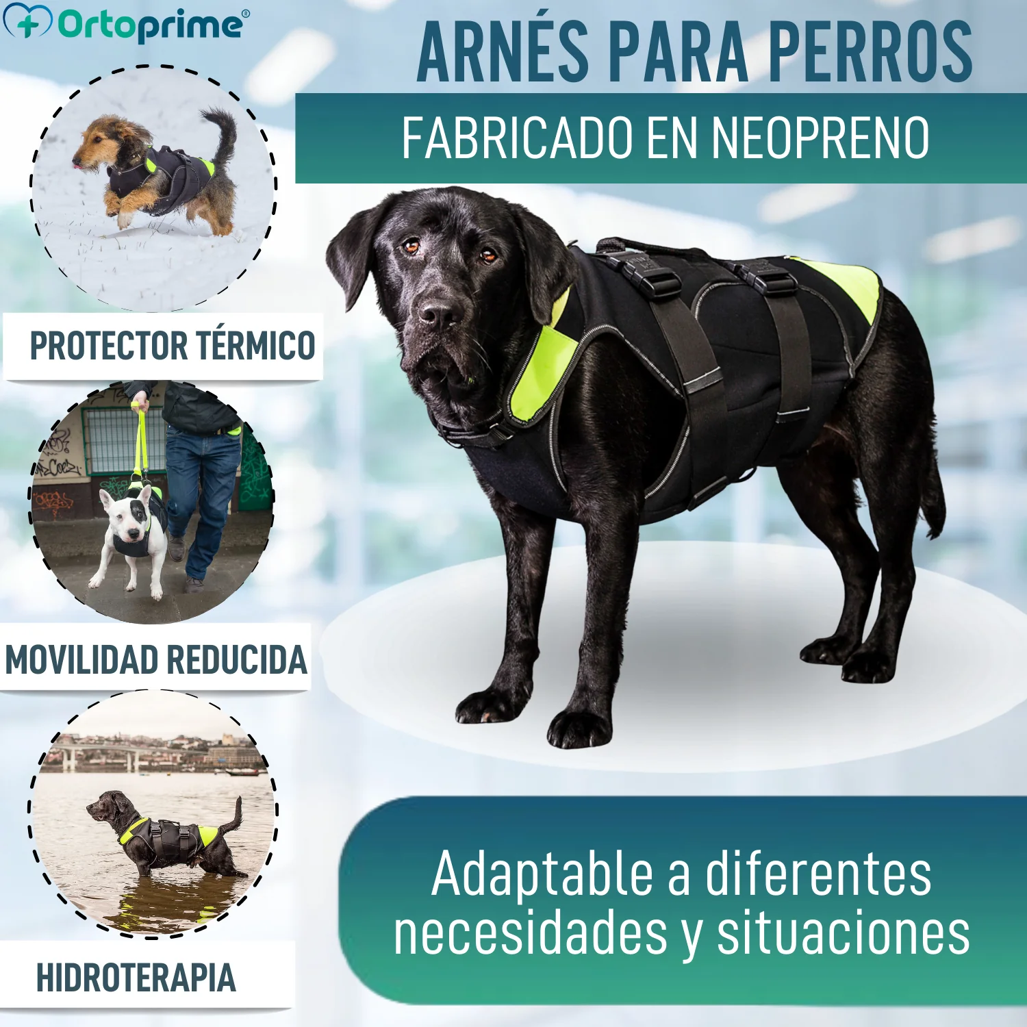 Imagen del producto 3