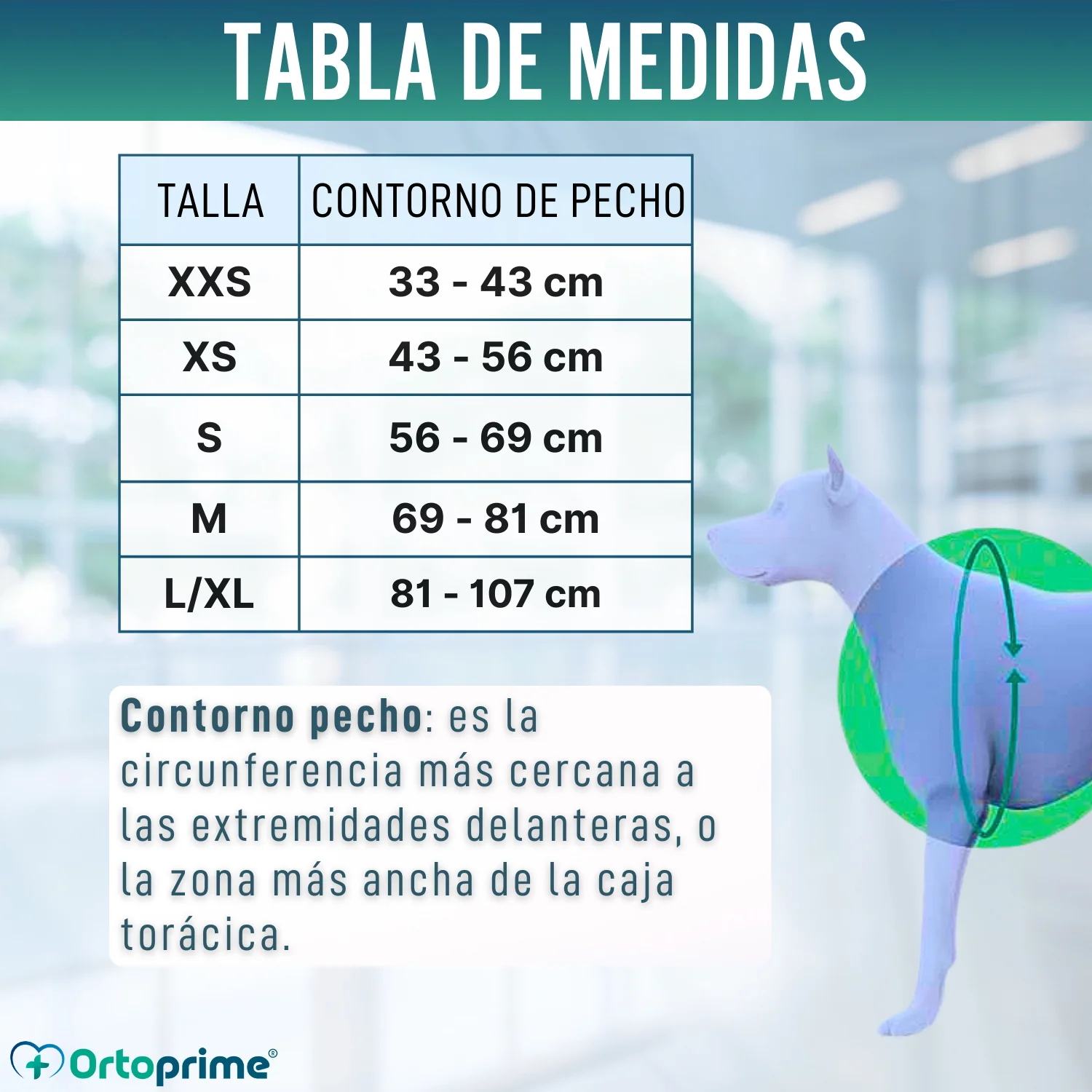 Imagen del producto 2