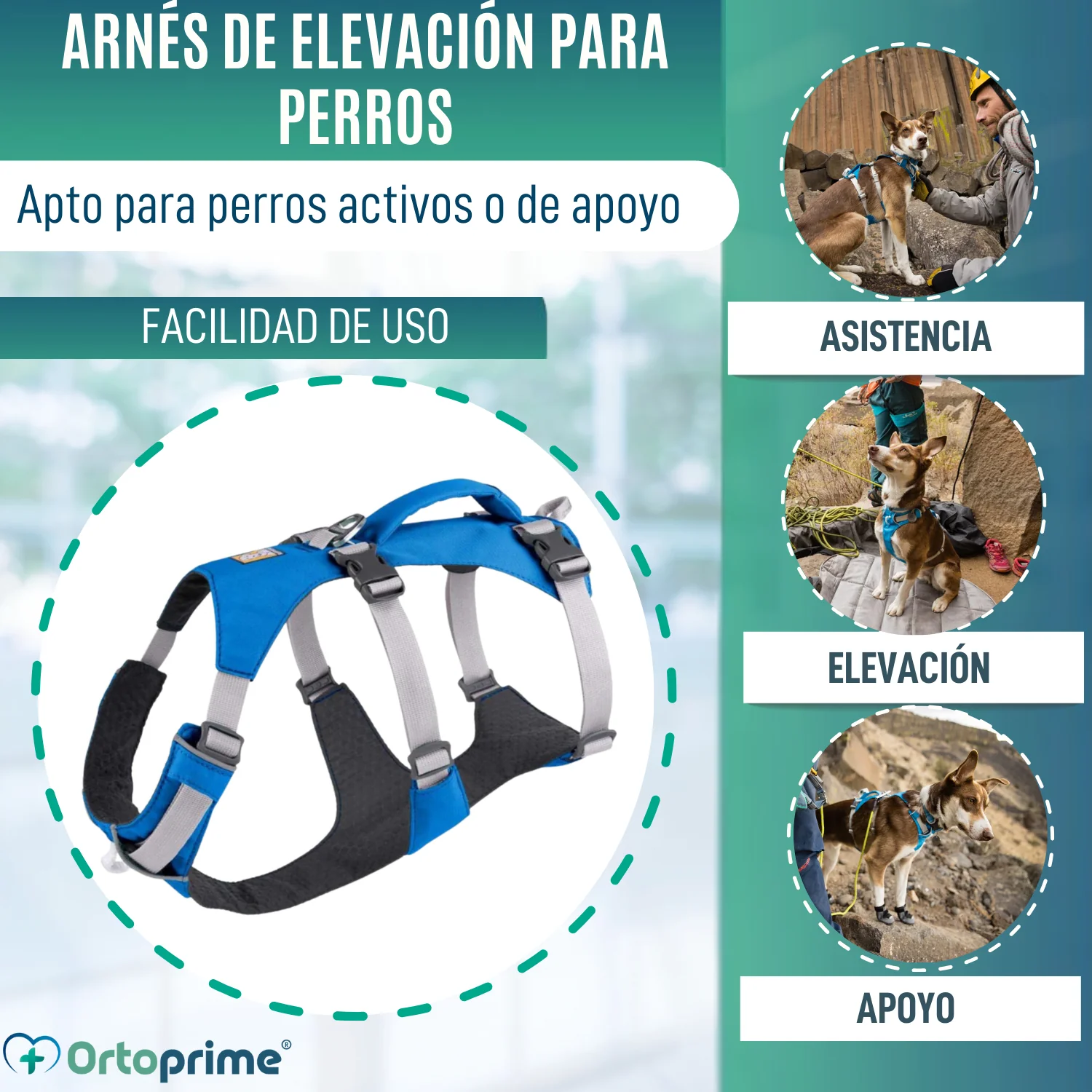 Imagen del producto 3