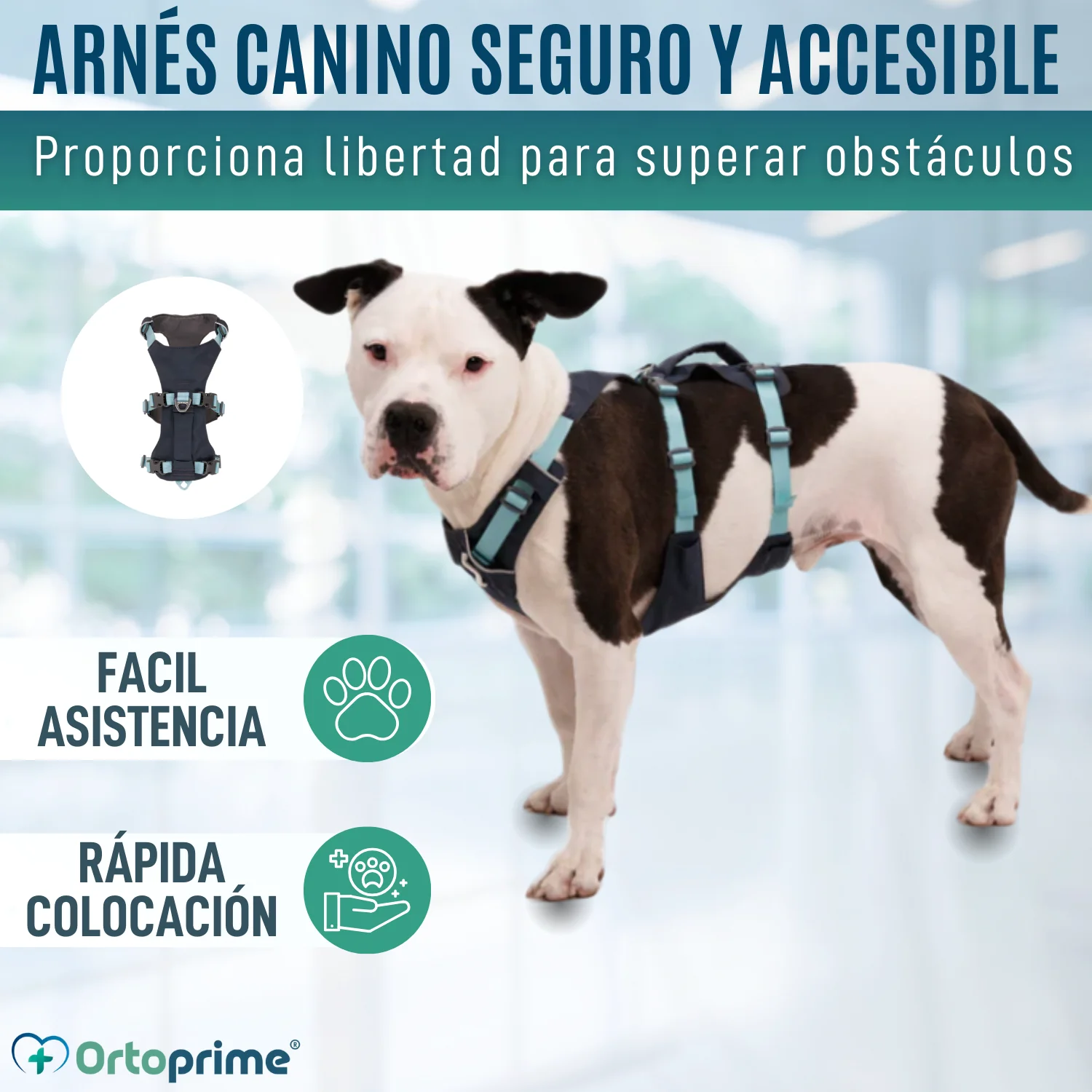 Imagen del producto 7