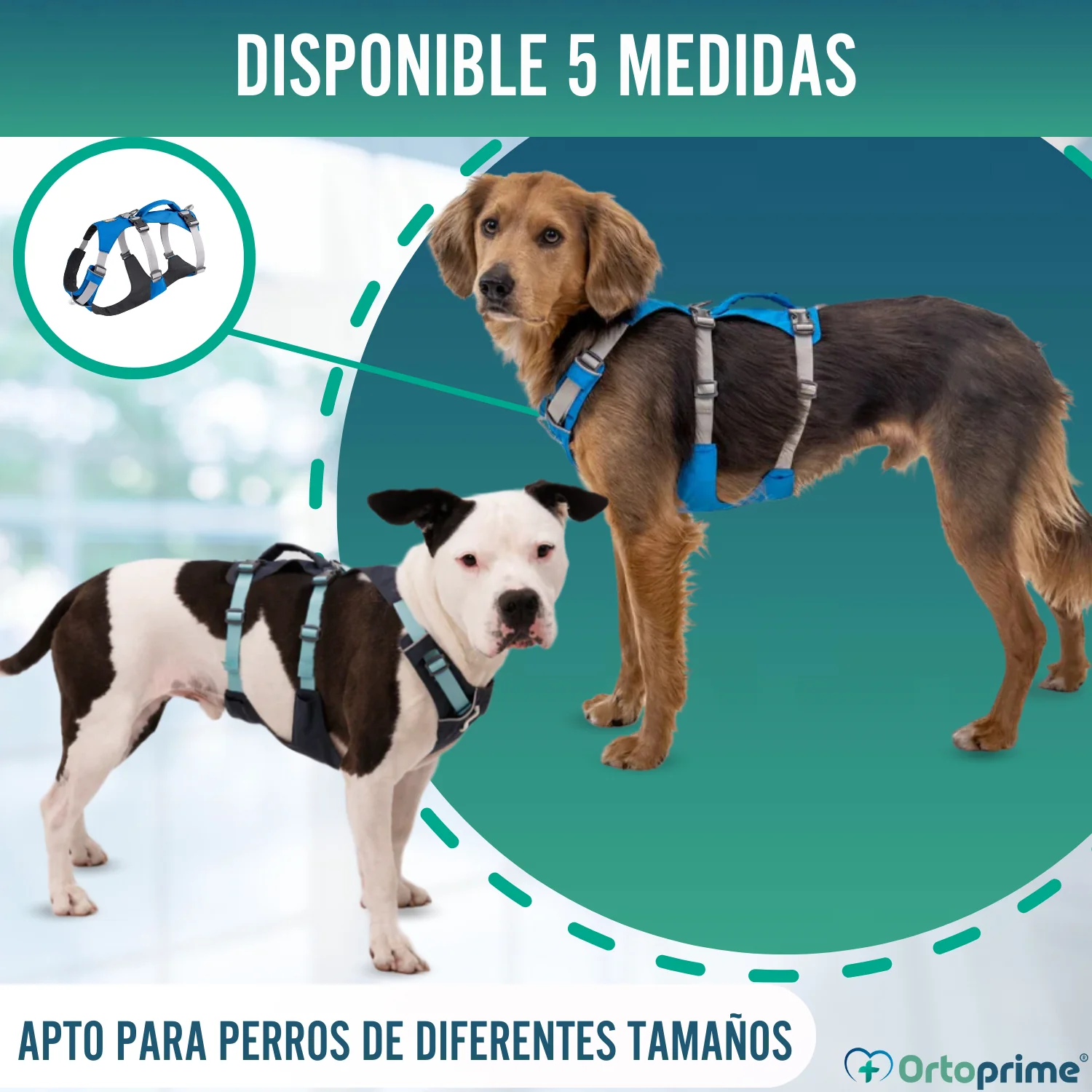 Imagen del producto 8