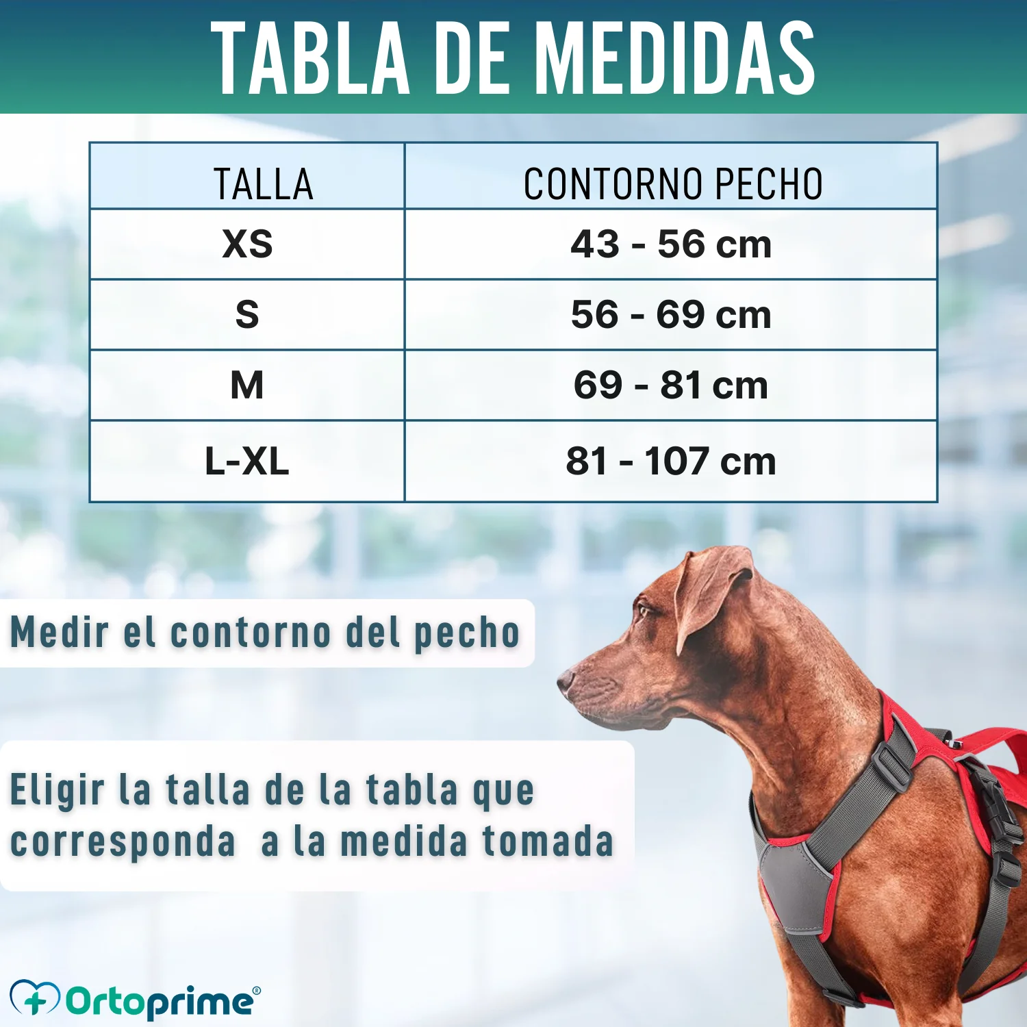 Imagen del producto 2
