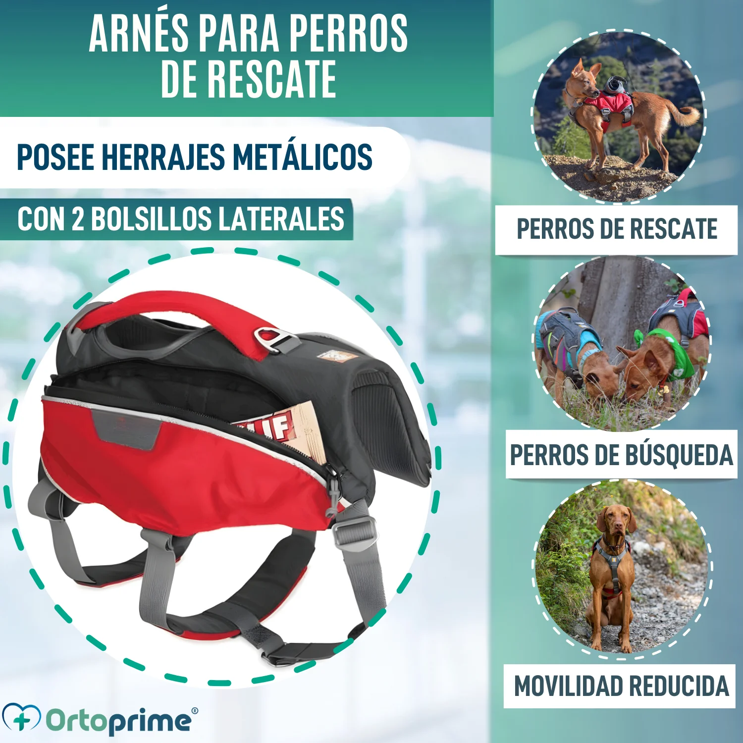 Imagen del producto 3