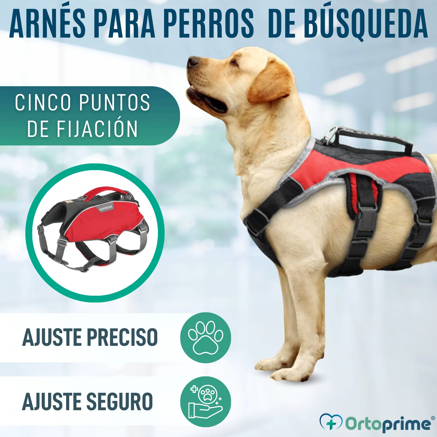 Imagen del producto 4