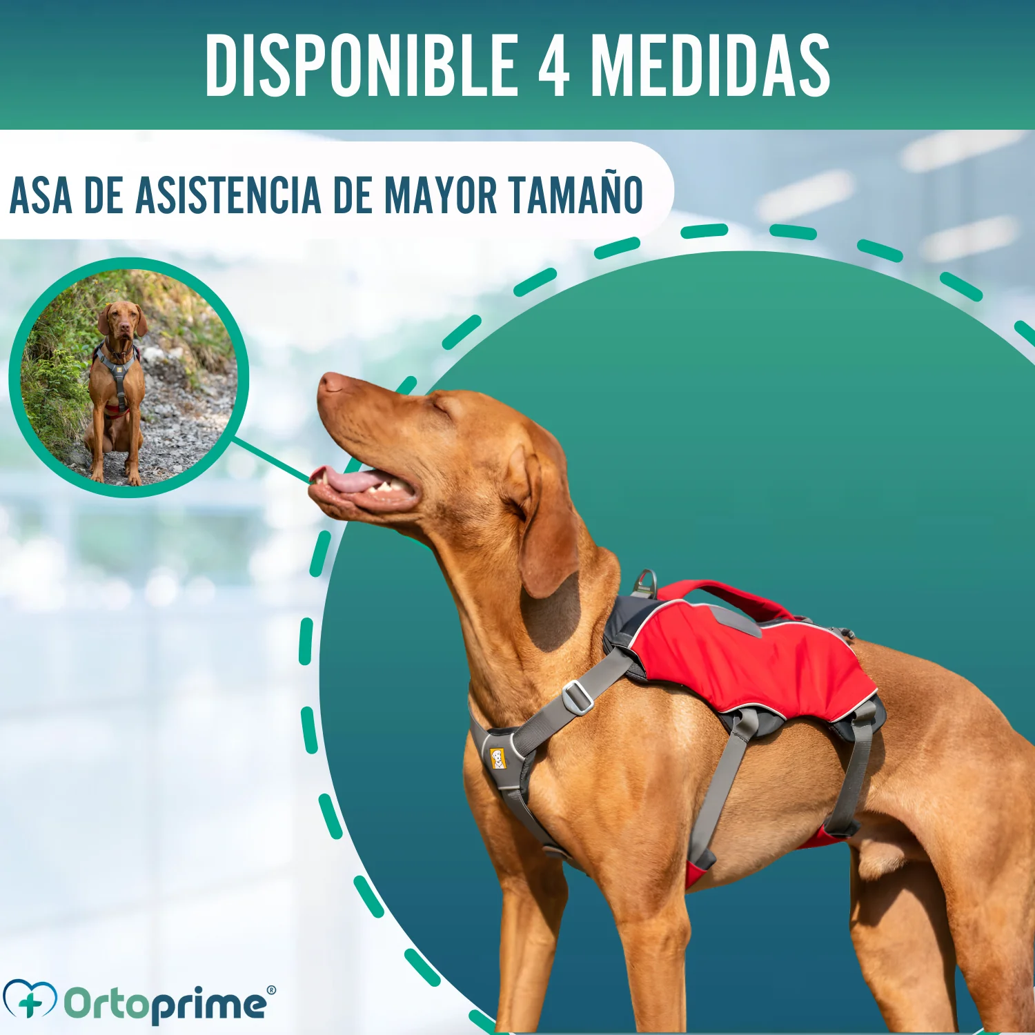Imagen del producto 8