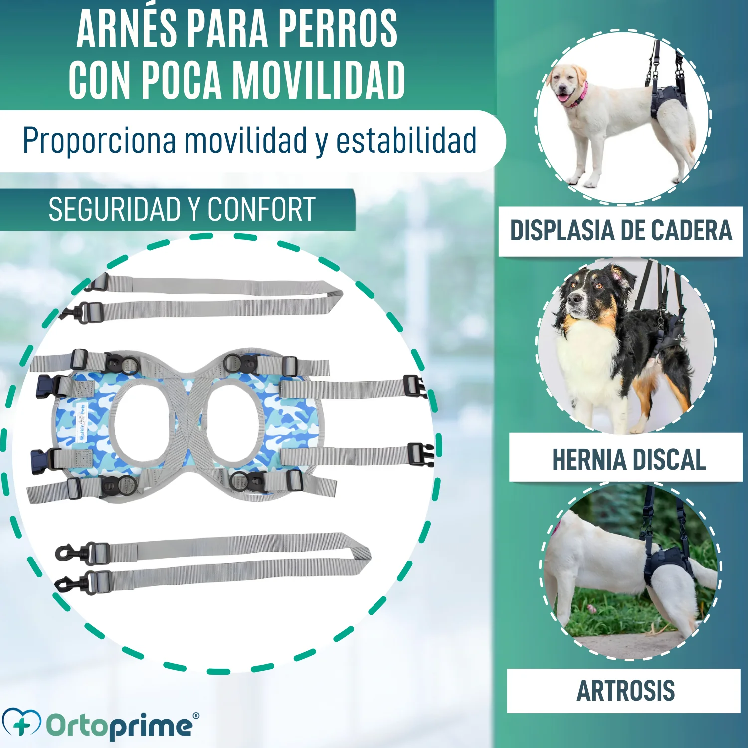 Imagen del producto 3