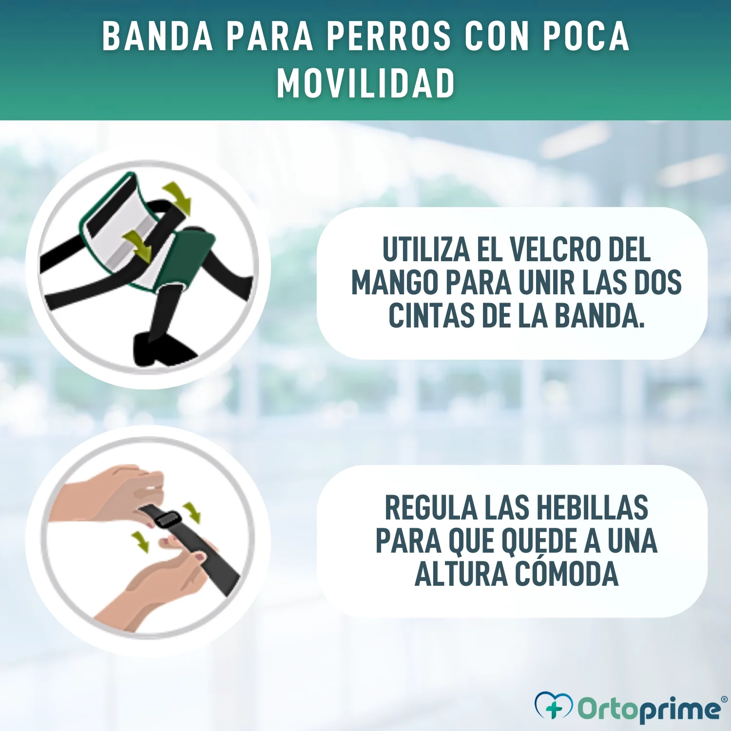 Imagen del producto 9