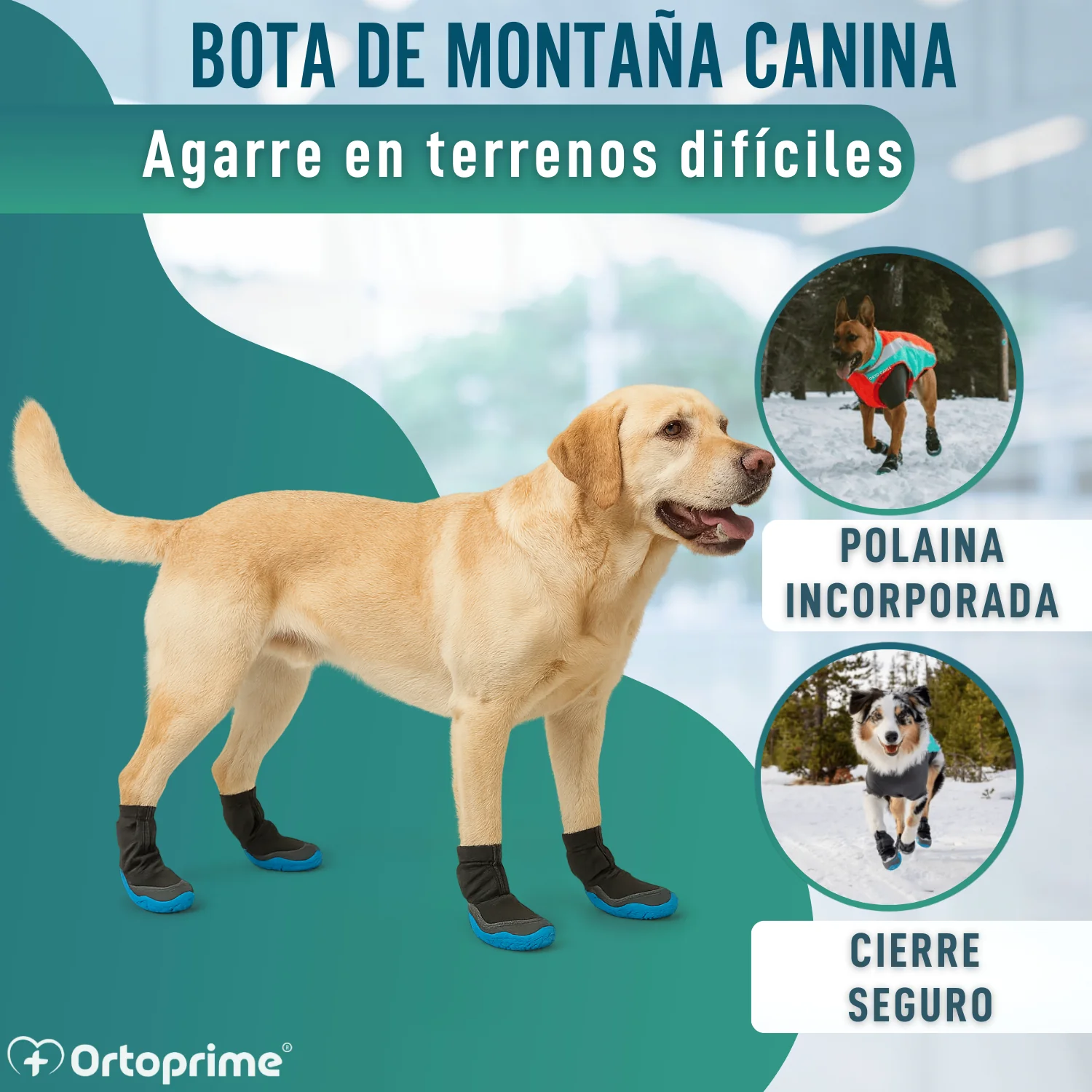 Imagen del producto 5