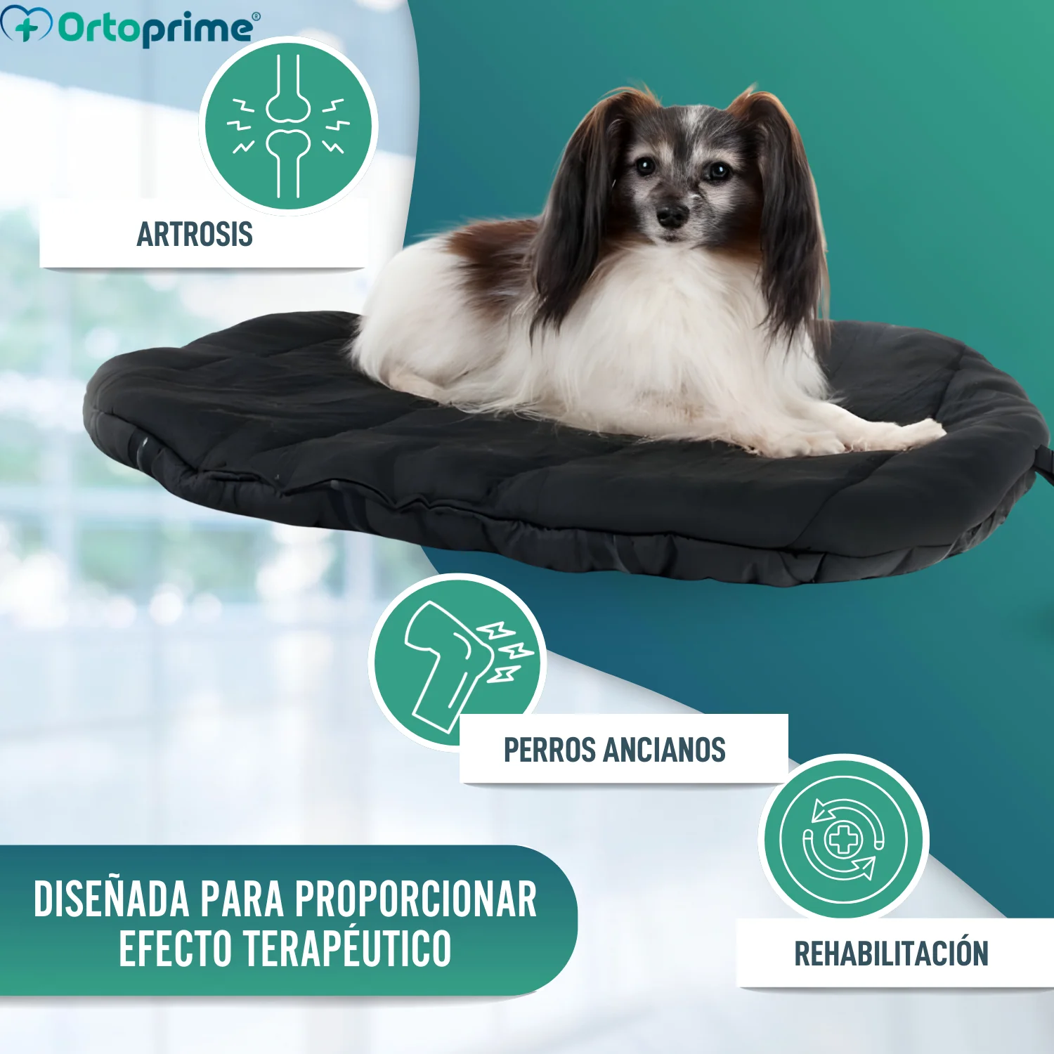 Imagen del producto 3