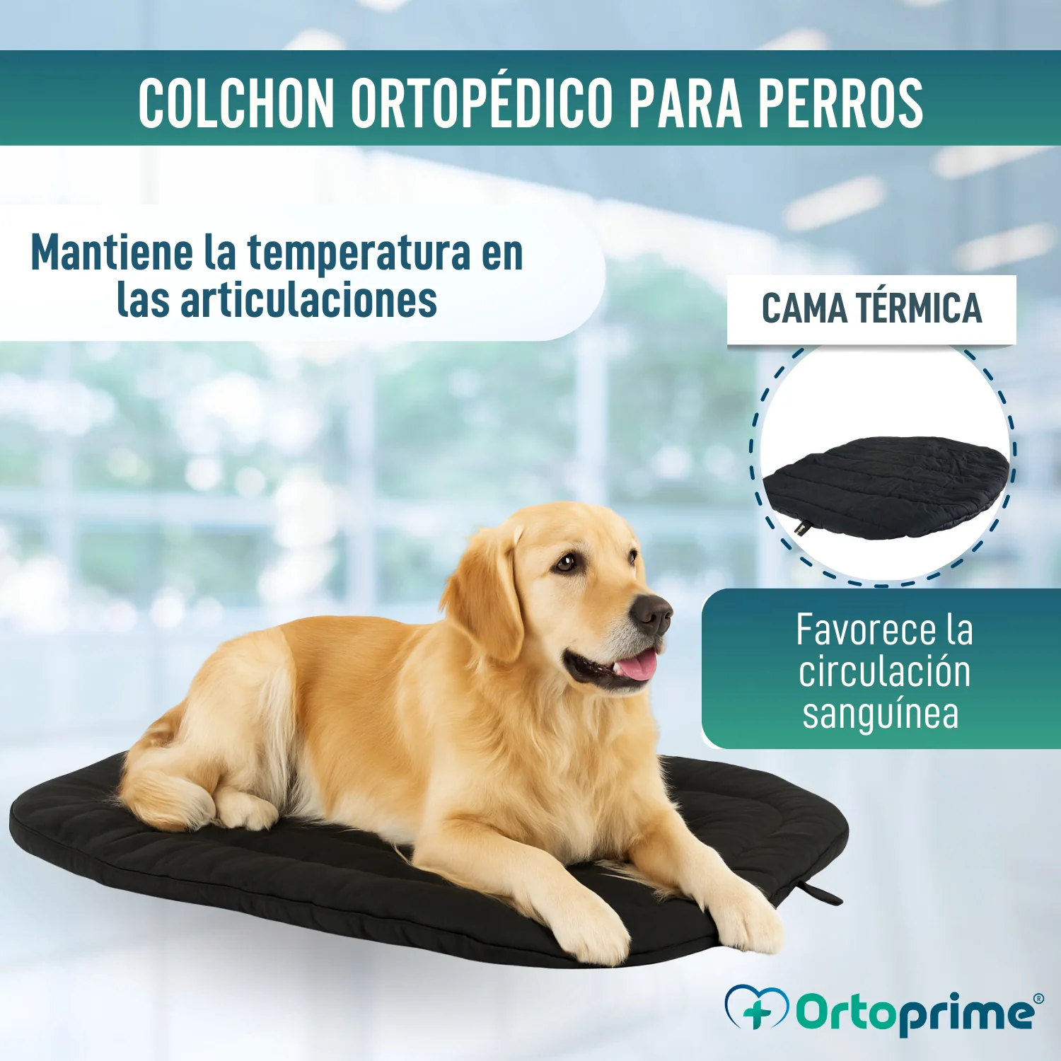 Imagen del producto 5