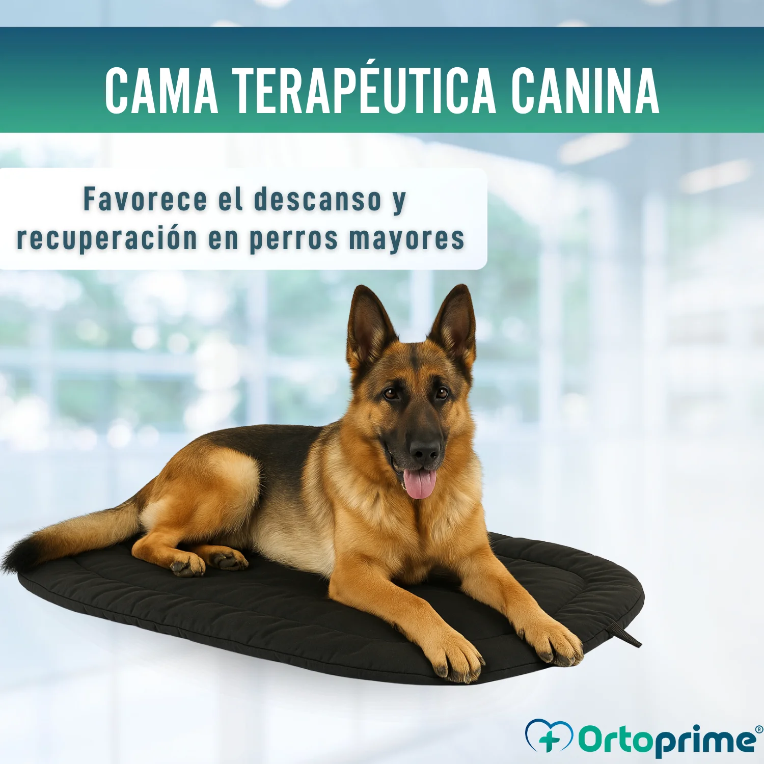 Imagen del producto 7