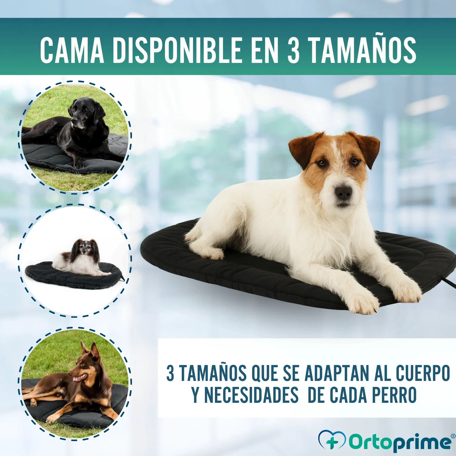 Imagen del producto 8