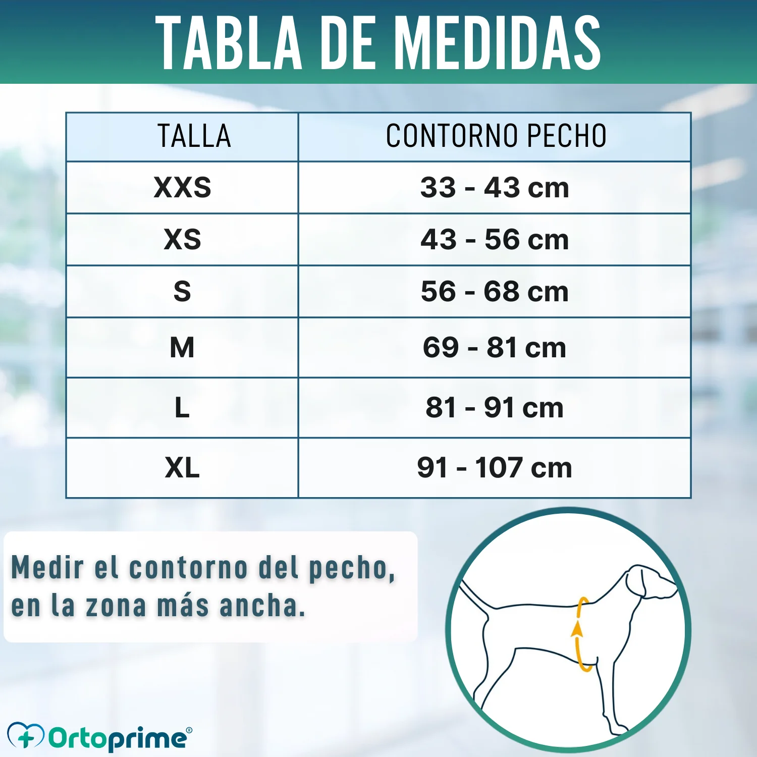 Imagen del producto 2