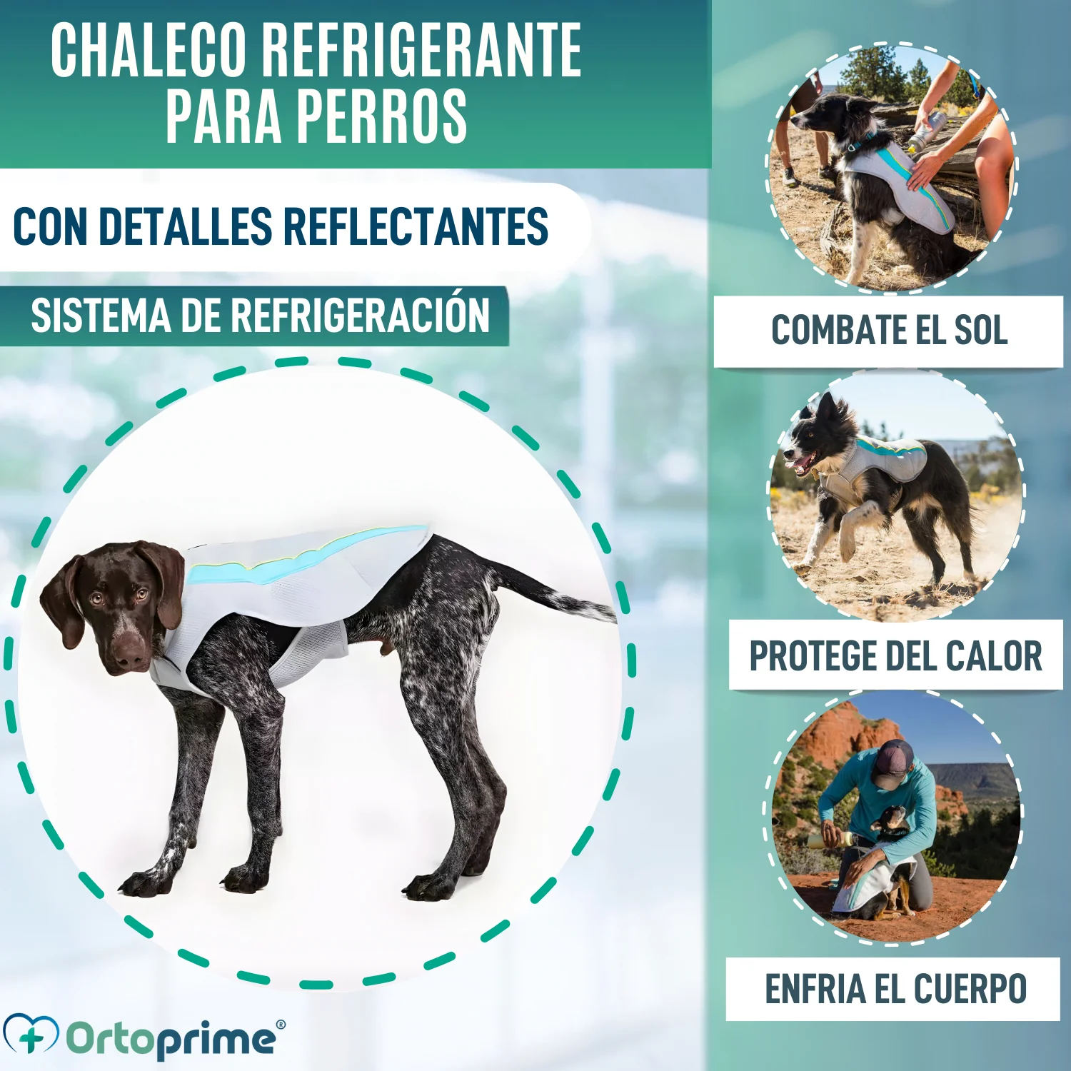 Imagen del producto 3