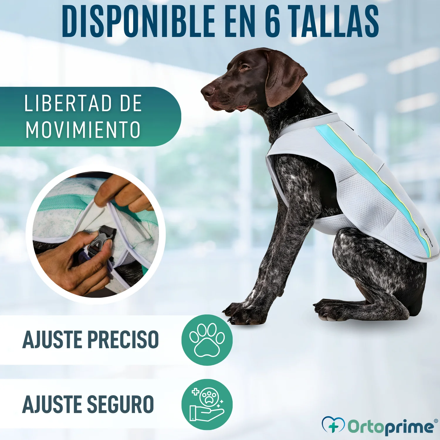 Imagen del producto 7