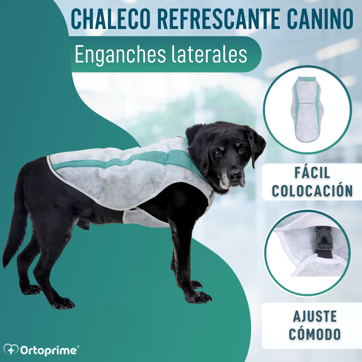 Imagen del producto 8
