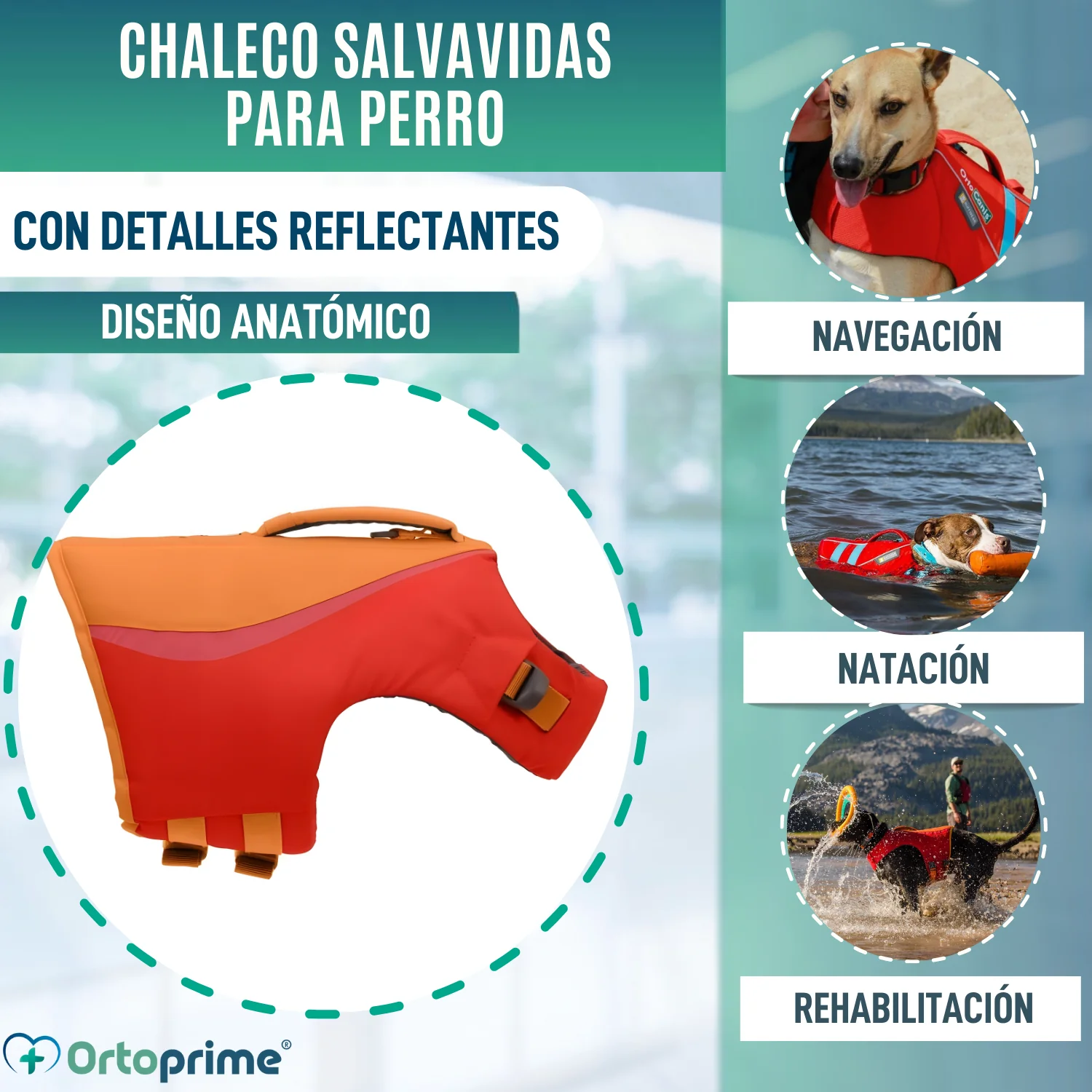 Imagen del producto 3