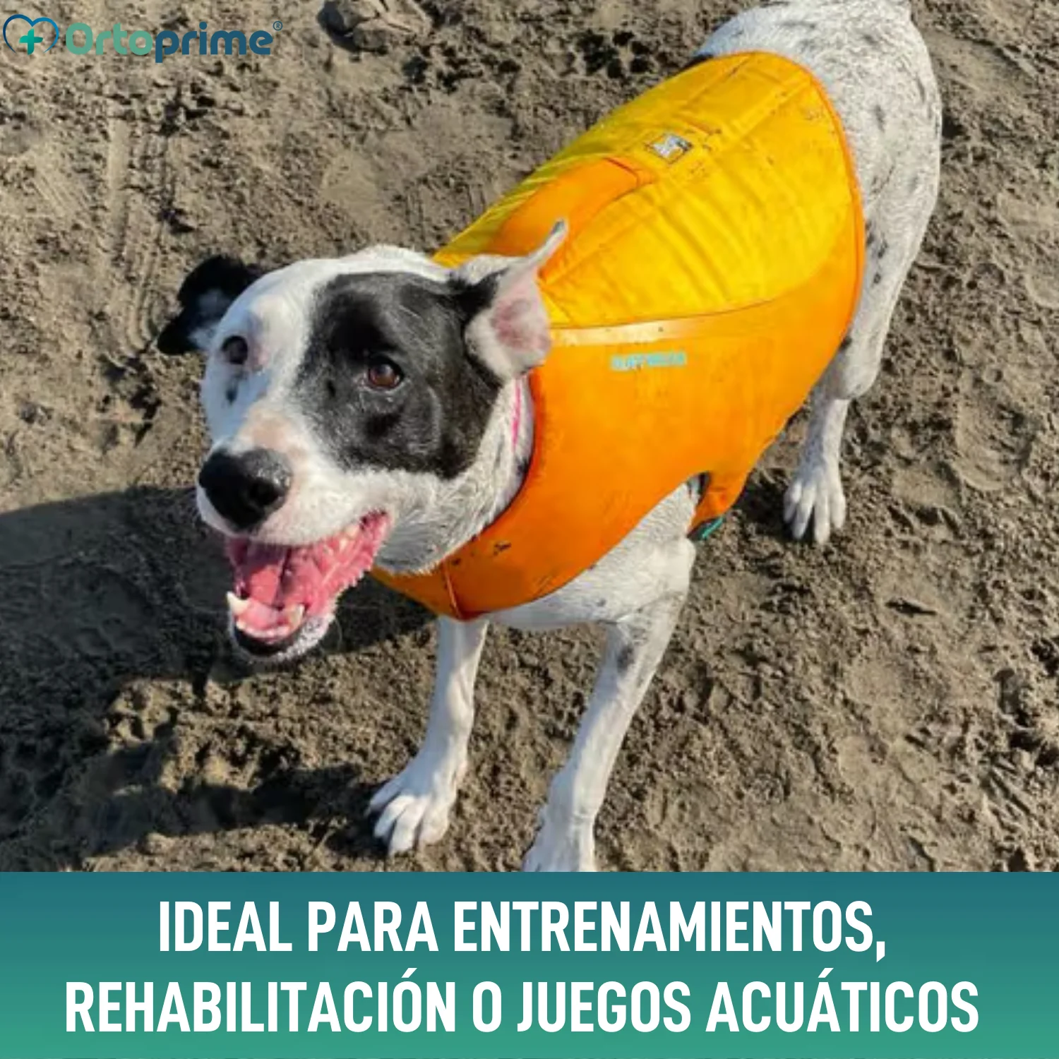 Imagen del producto 9