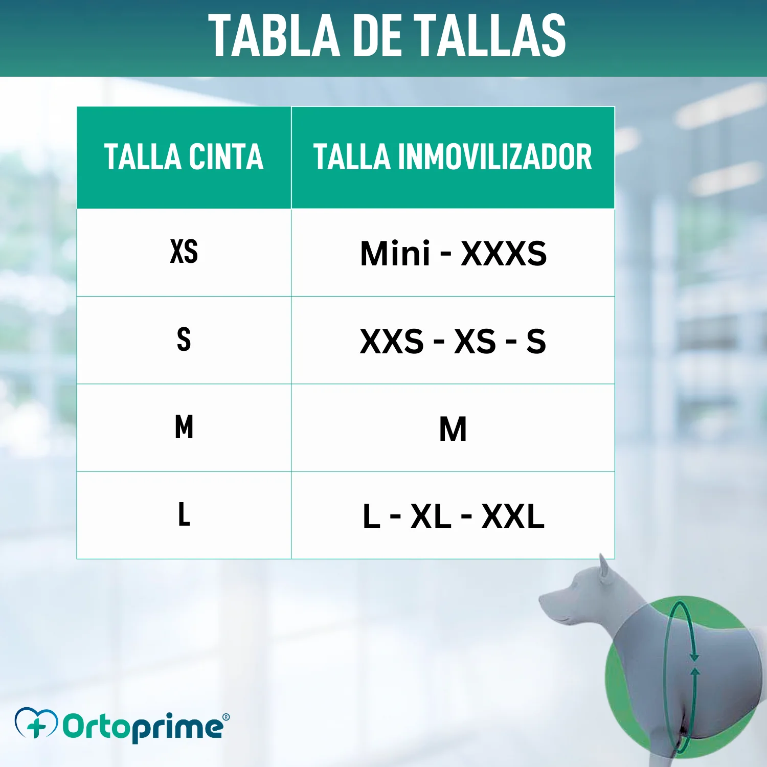 Imagen del producto 2
