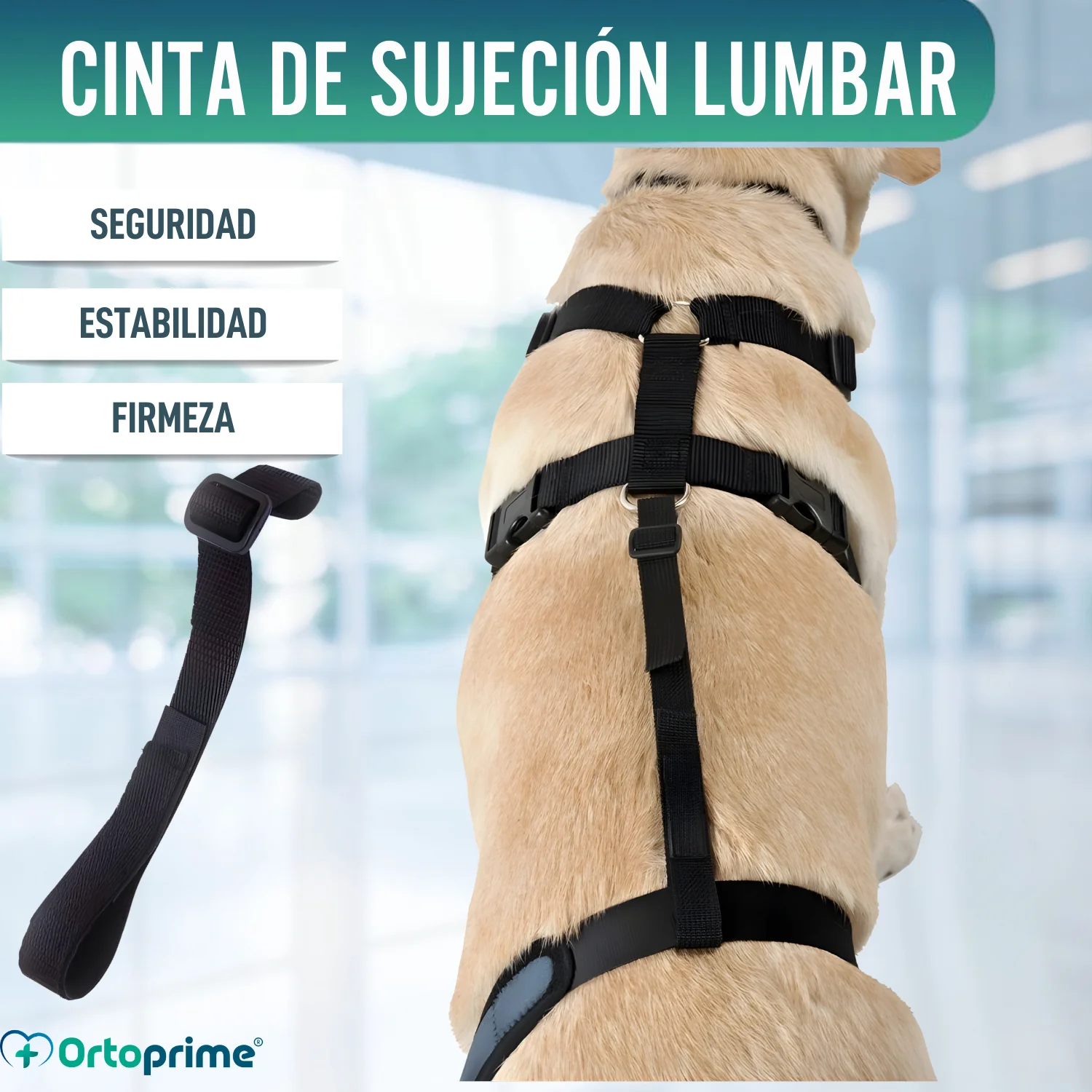 Imagen del producto 3