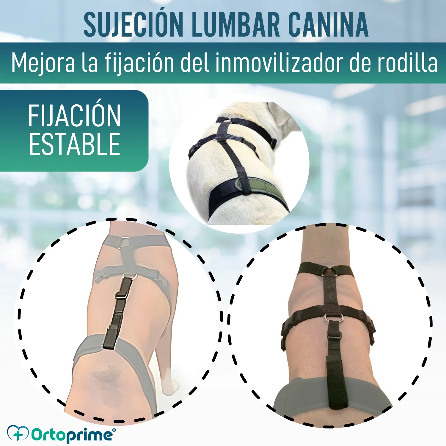 Imagen del producto 4