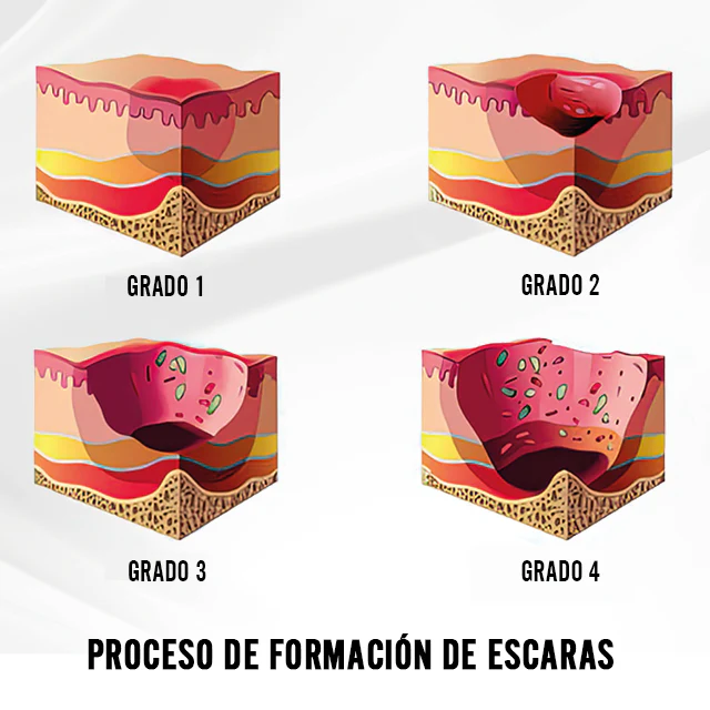 Imagen del producto 10