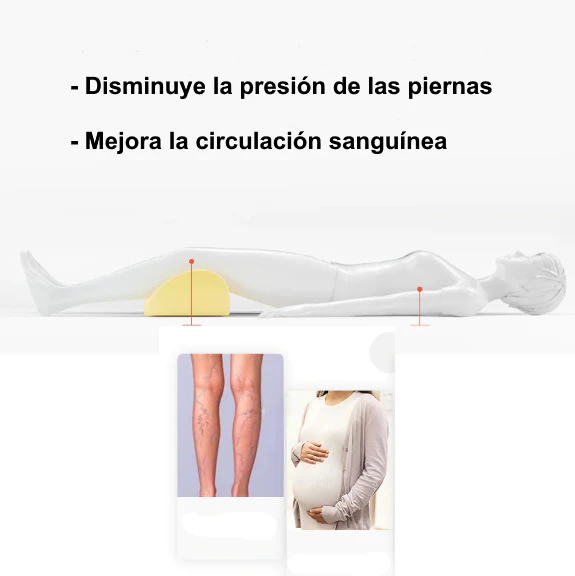 Imagen del producto 7