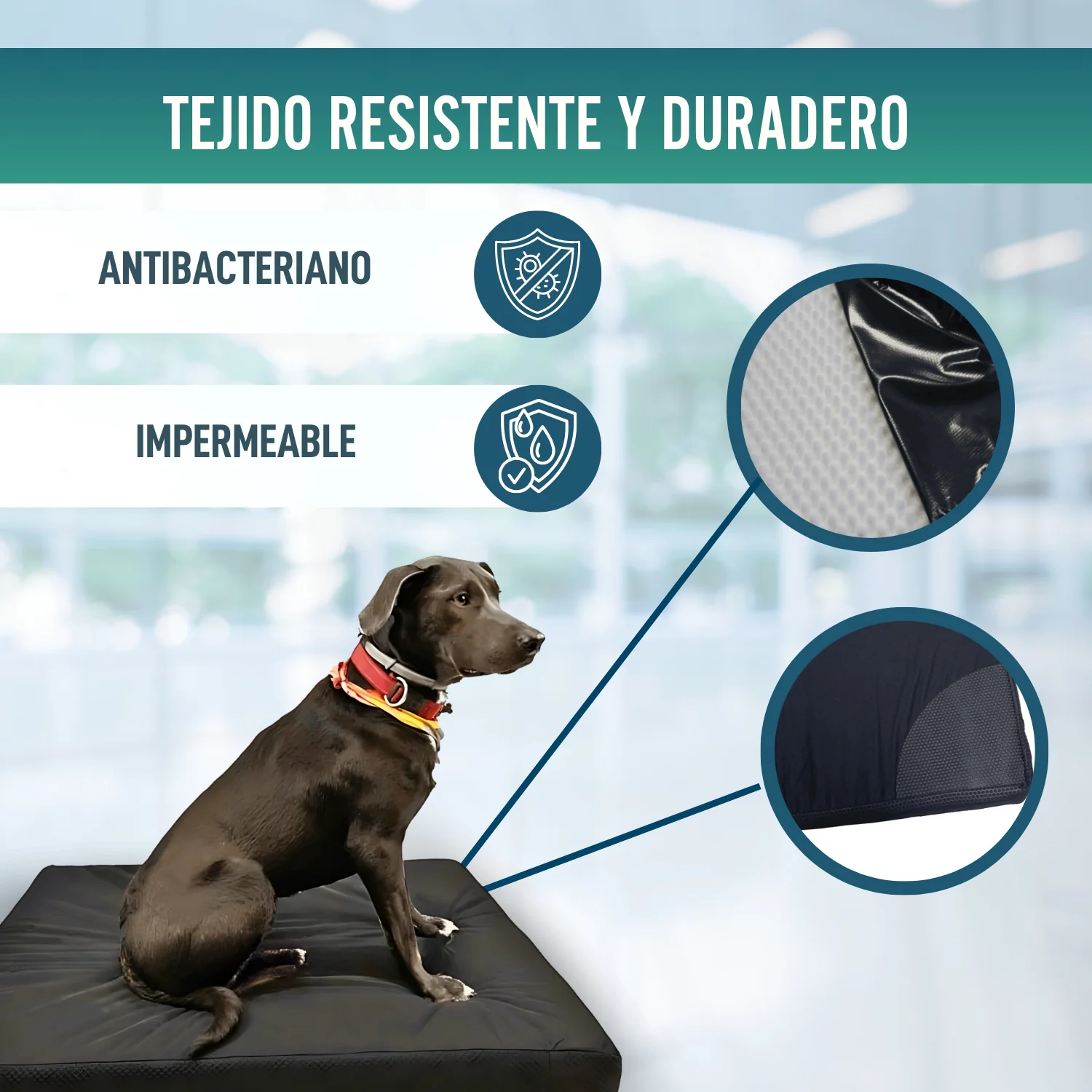 Imagen del producto 6