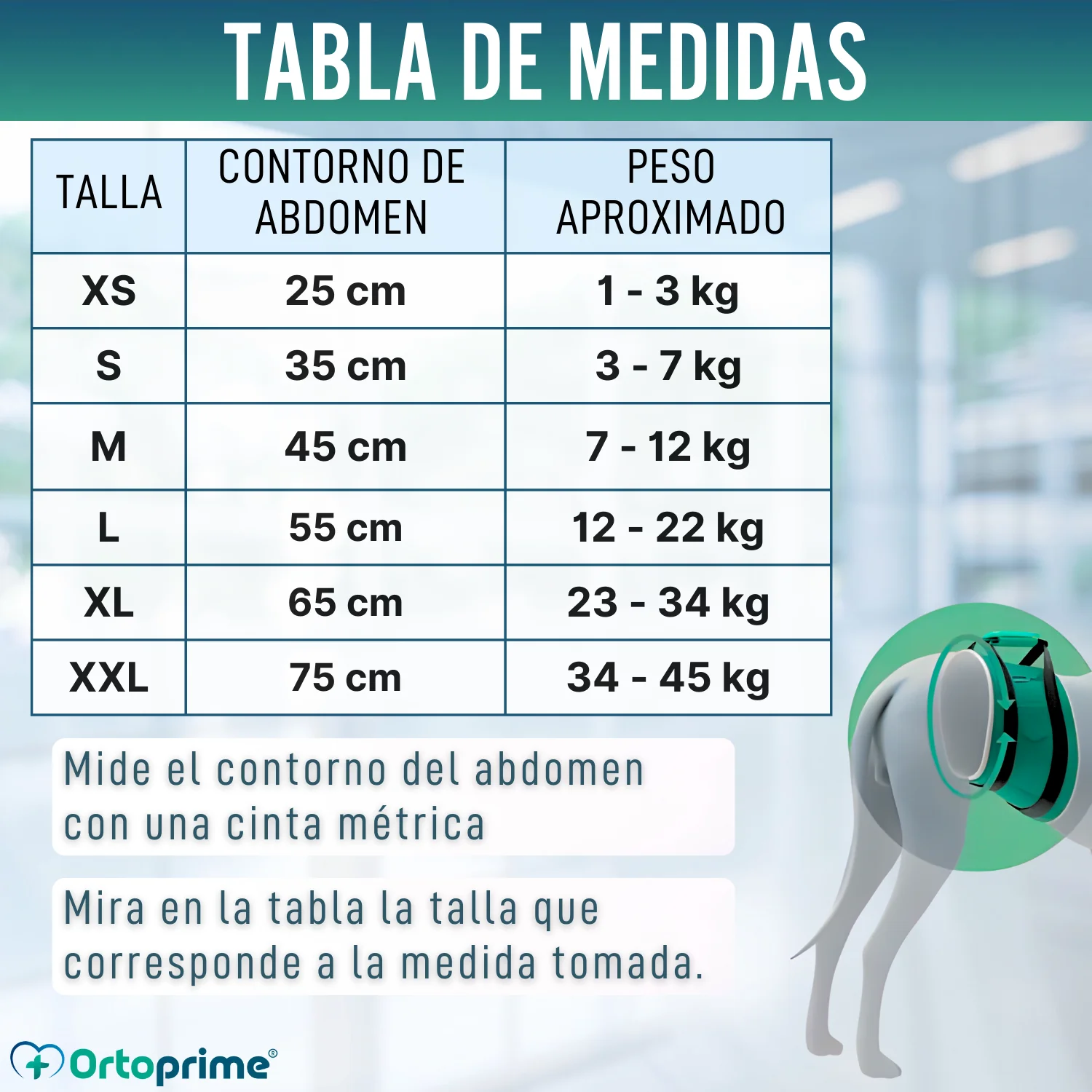 Imagen del producto 2